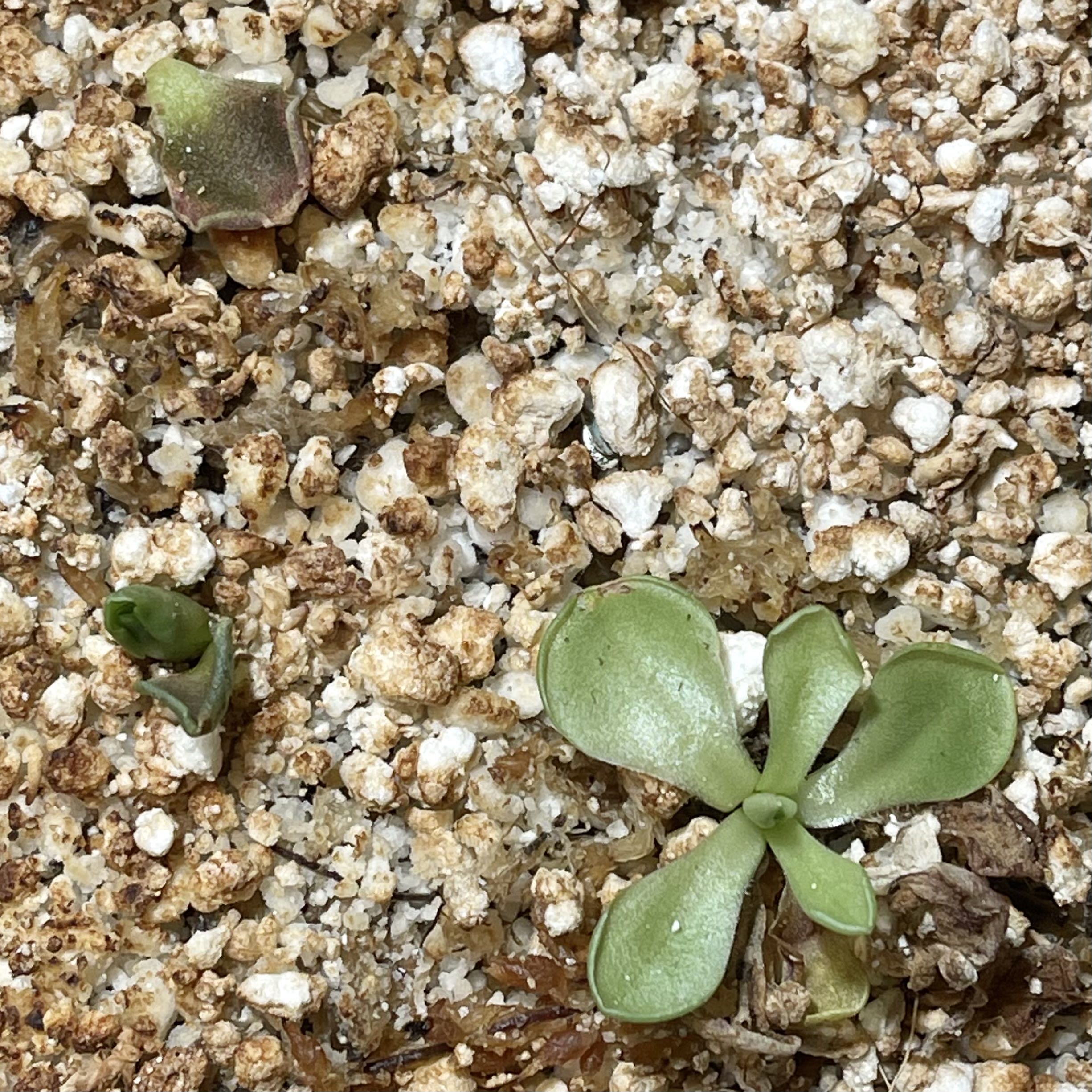 Photo from the post