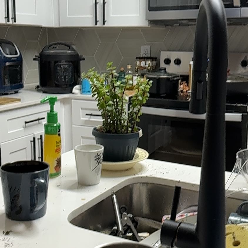 Photo of the plant species creme & green mini jade plant by @moongardenbabe named Darwin on Greg, the plant care app