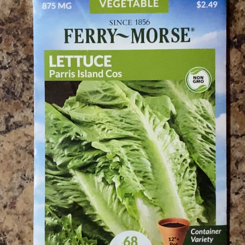 Photo of the plant species Parris Island Cos Lettuce by @FreeSeasandwort named Lettuce on Greg, the plant care app