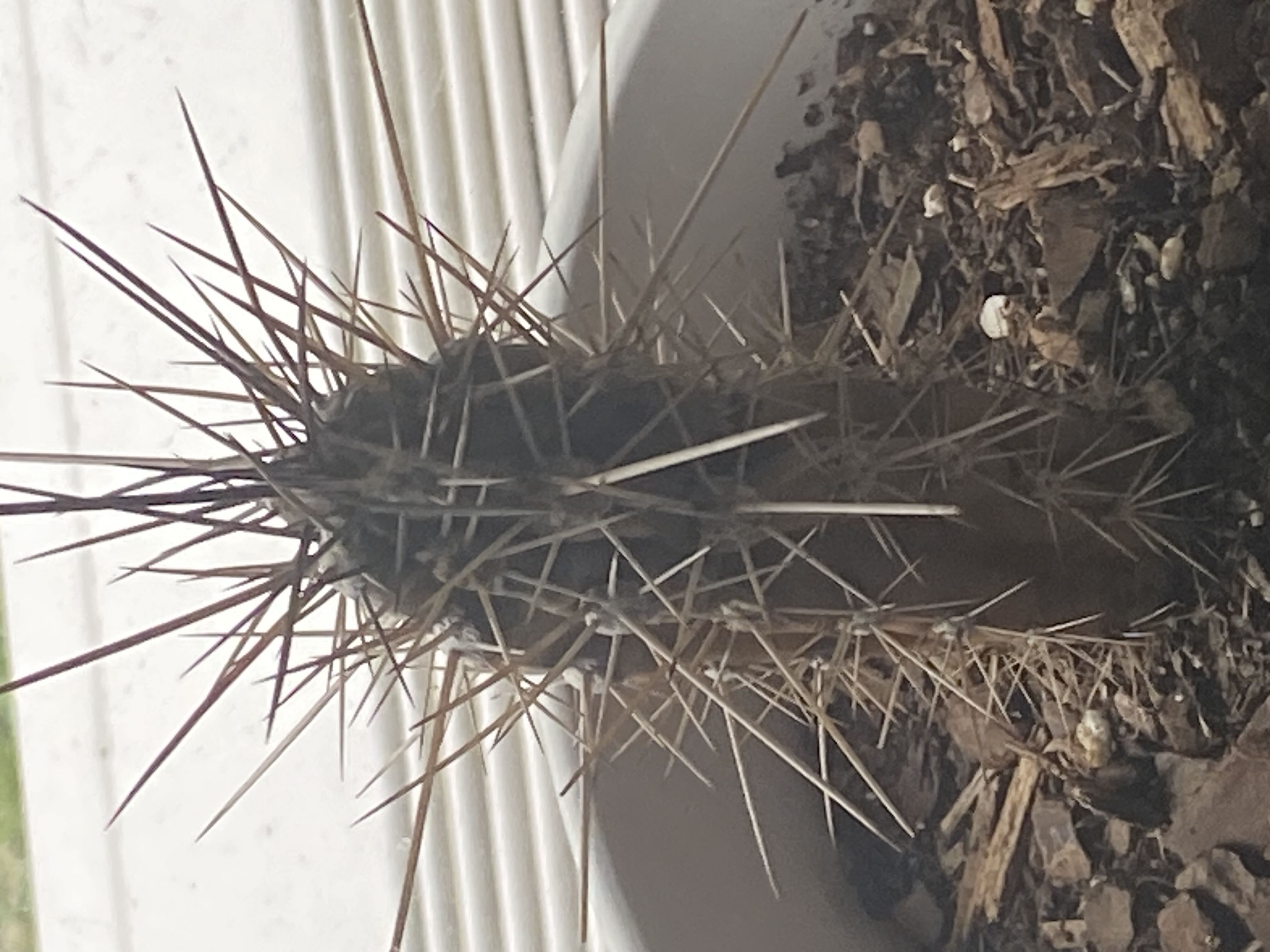 Photo from the post