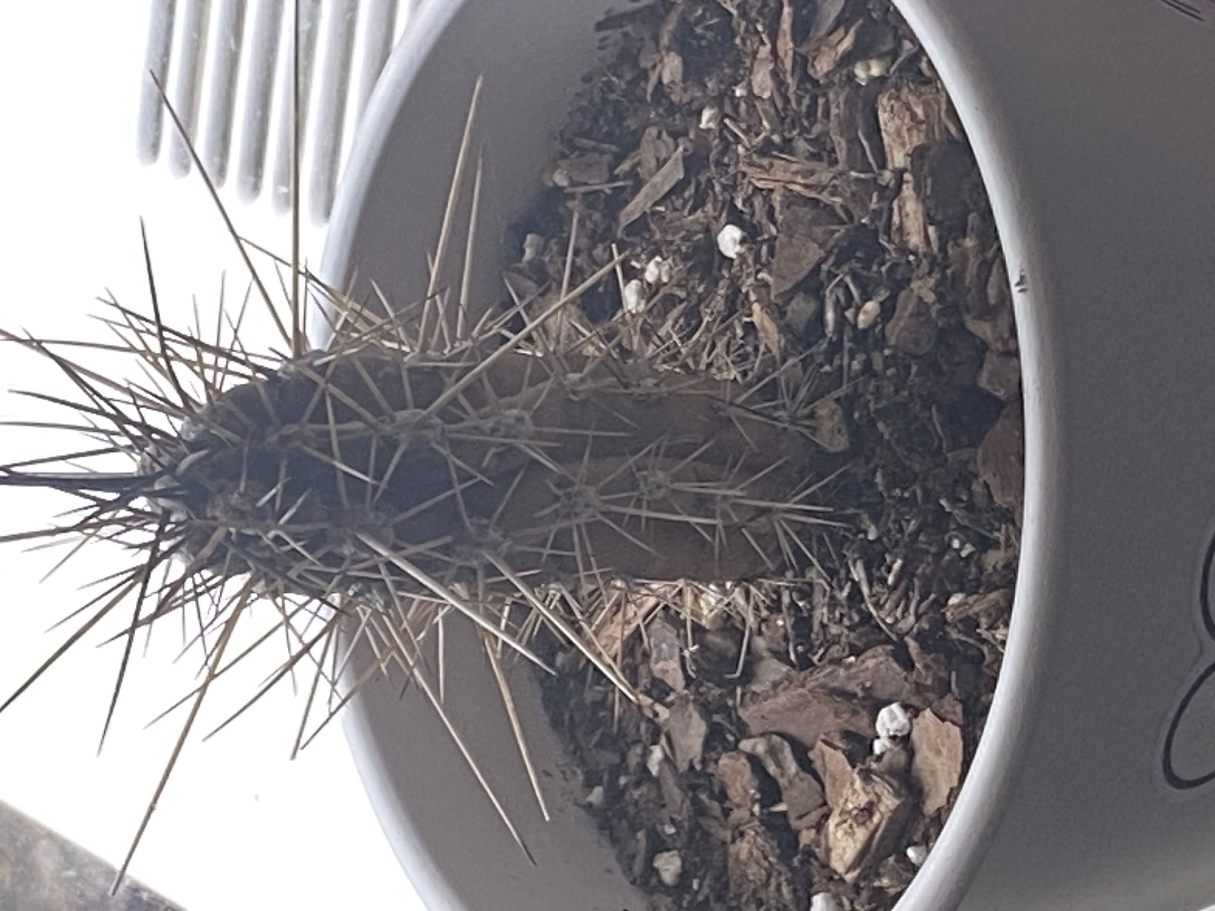 Photo from the post