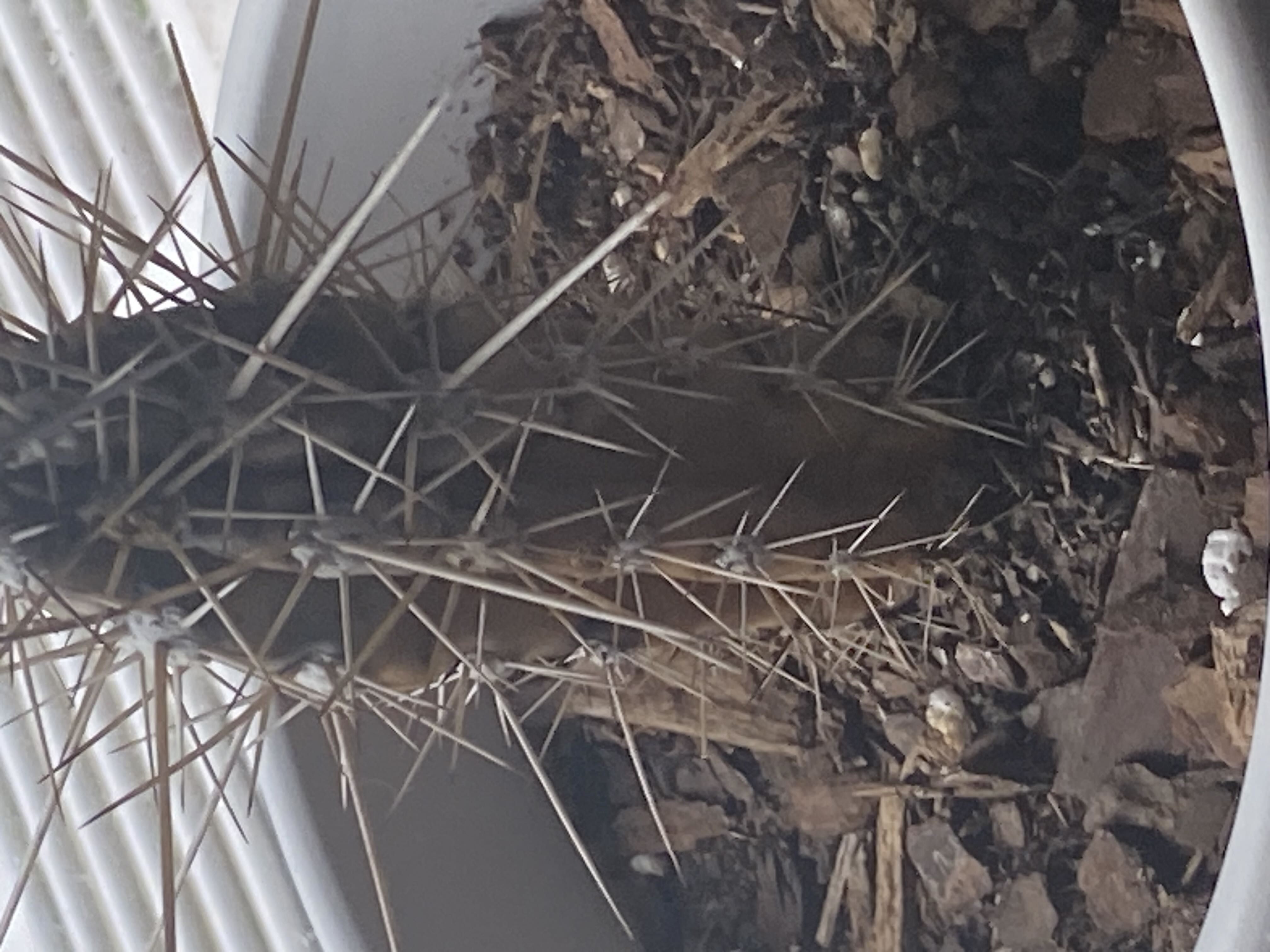 Photo from the post
