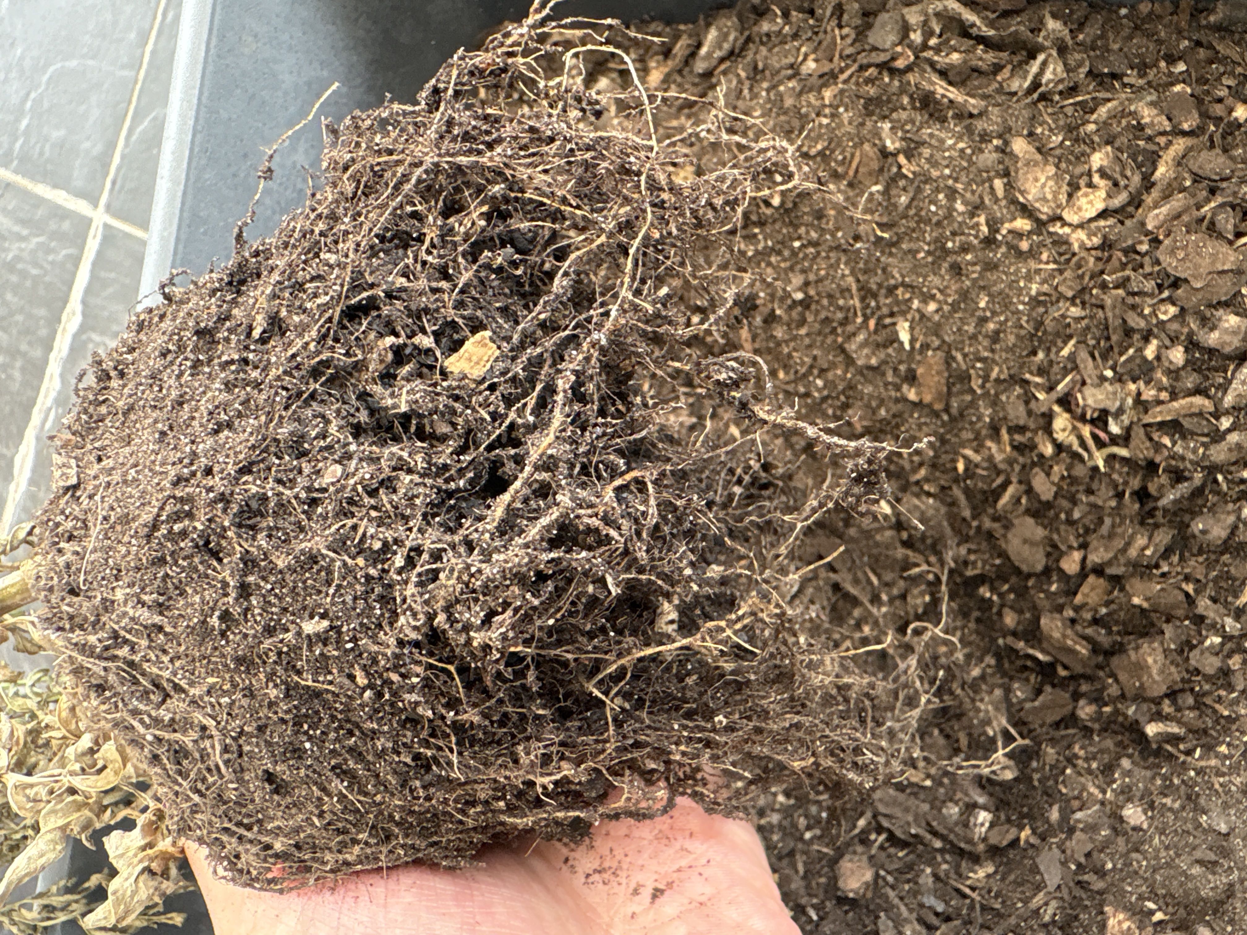 Photo from the post