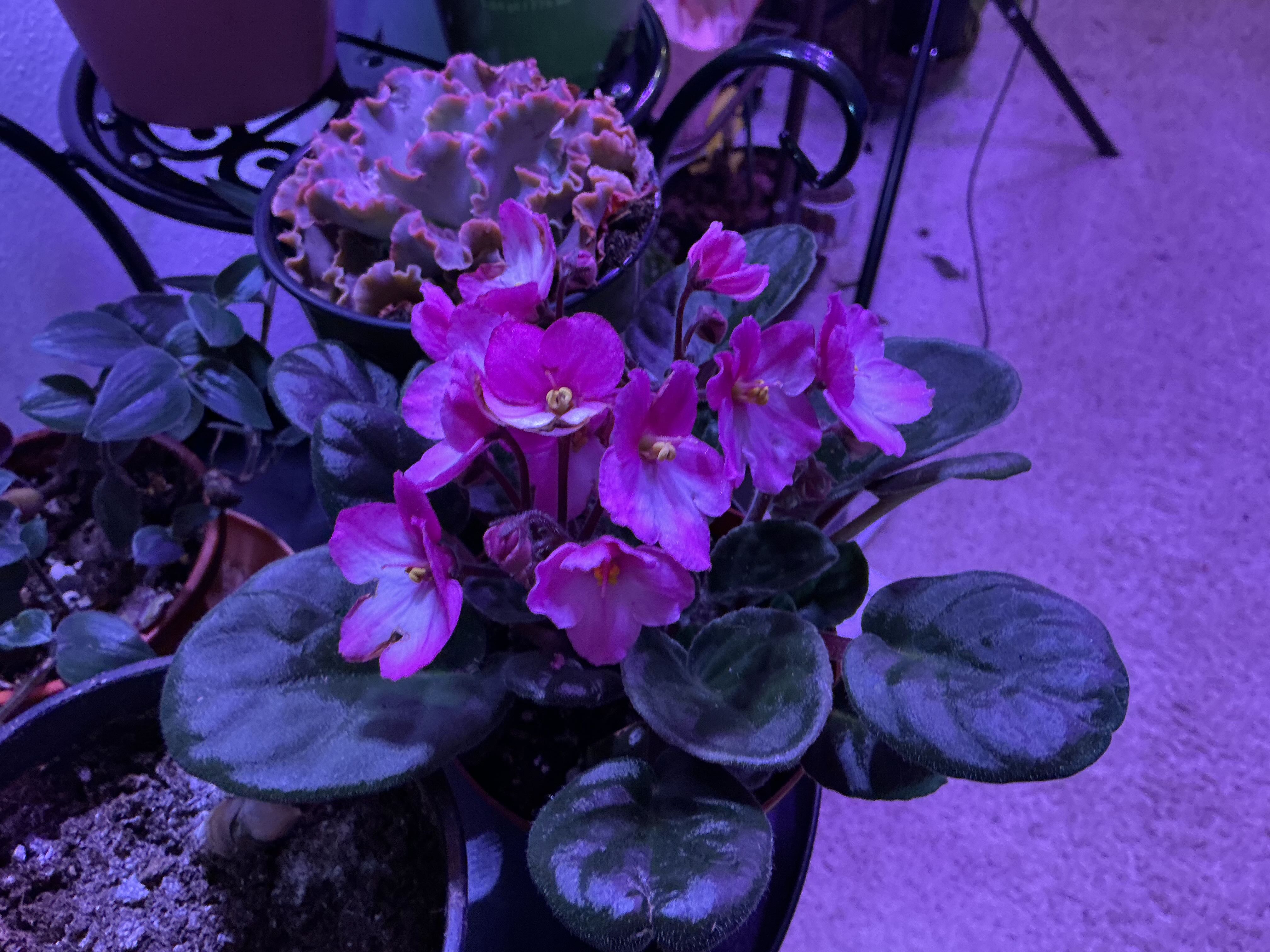 Photo from the post