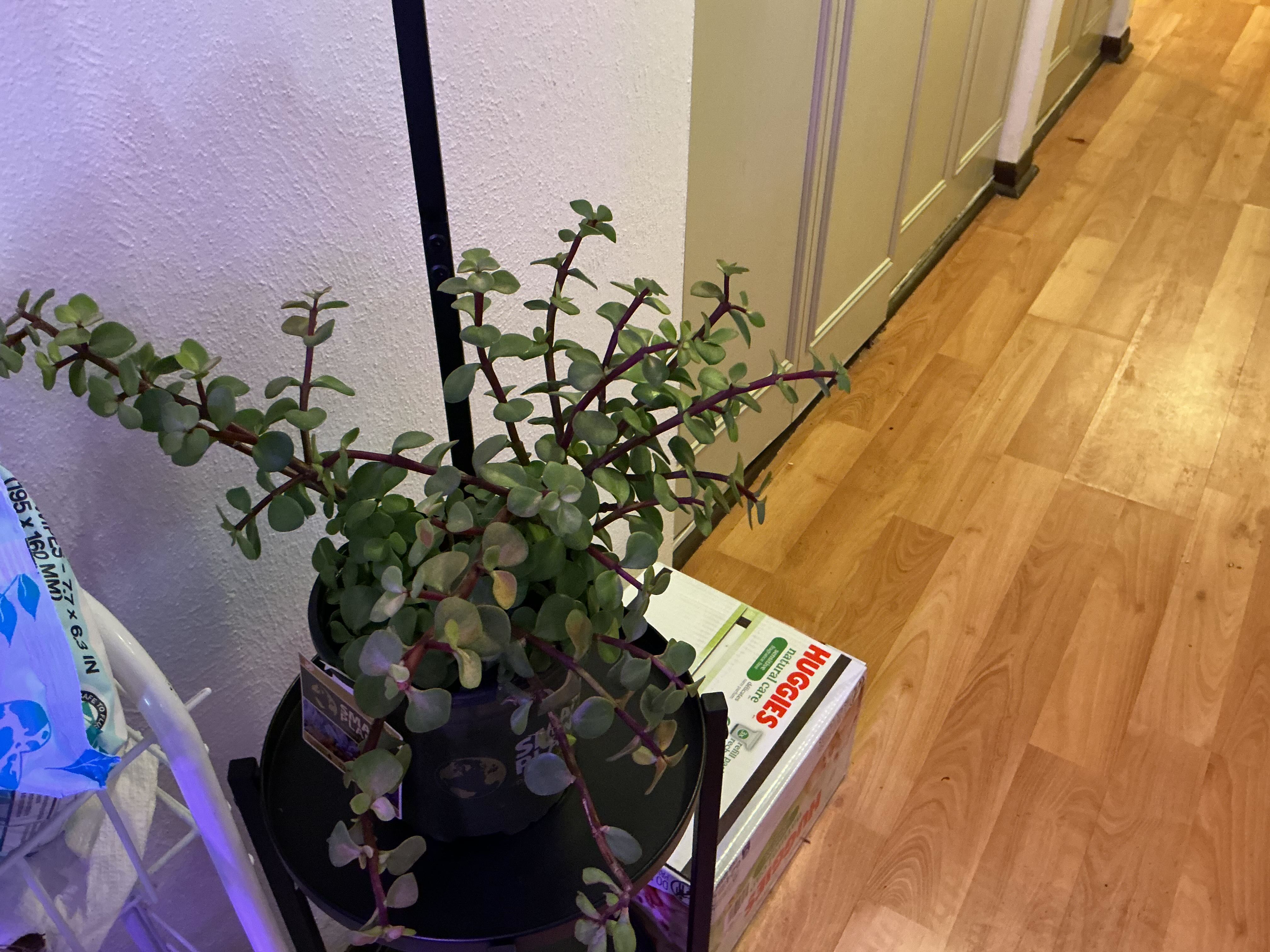 Photo from the post