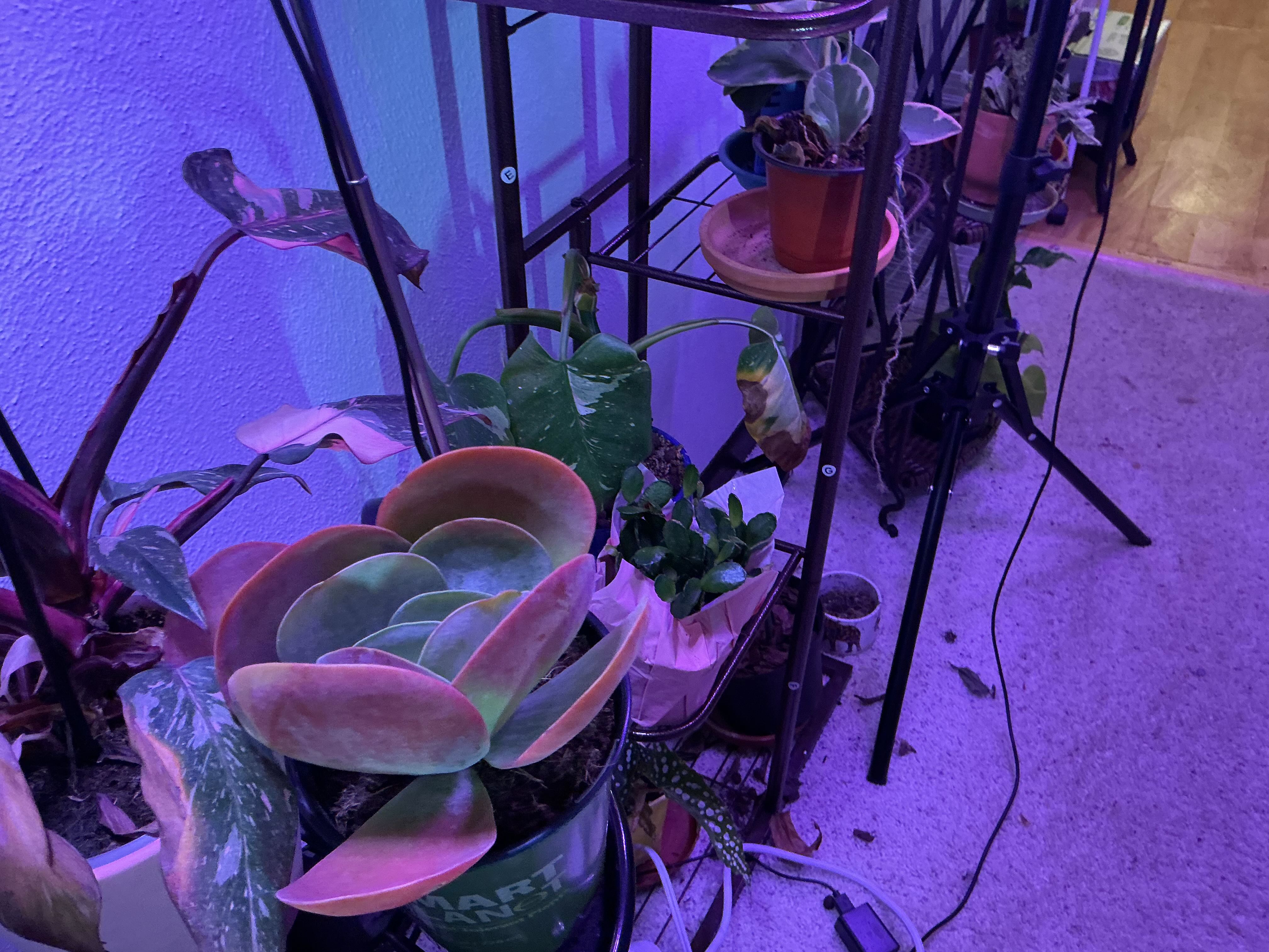 Photo from the post