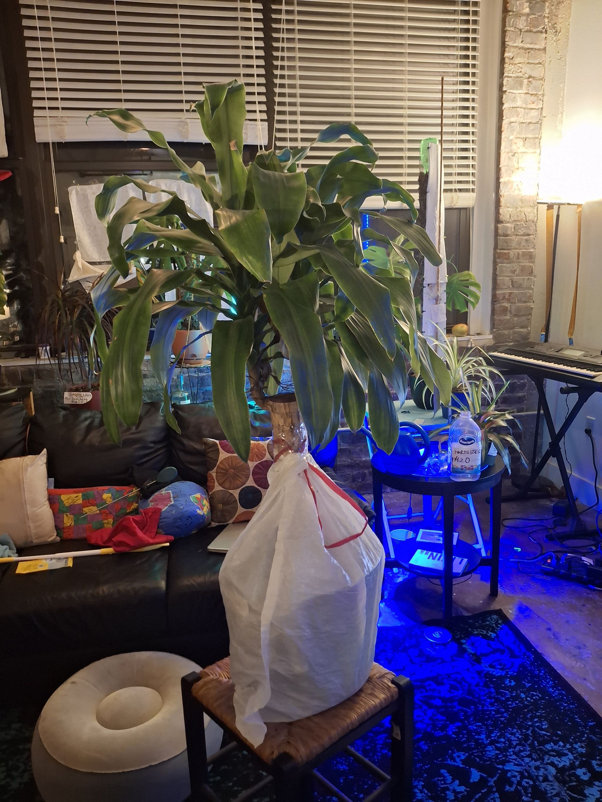 Photo from the post