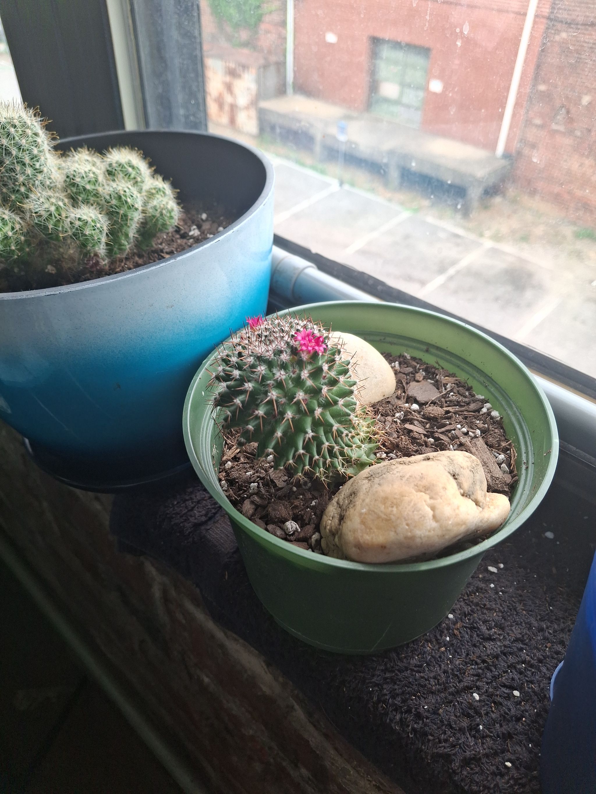 Photo from the post