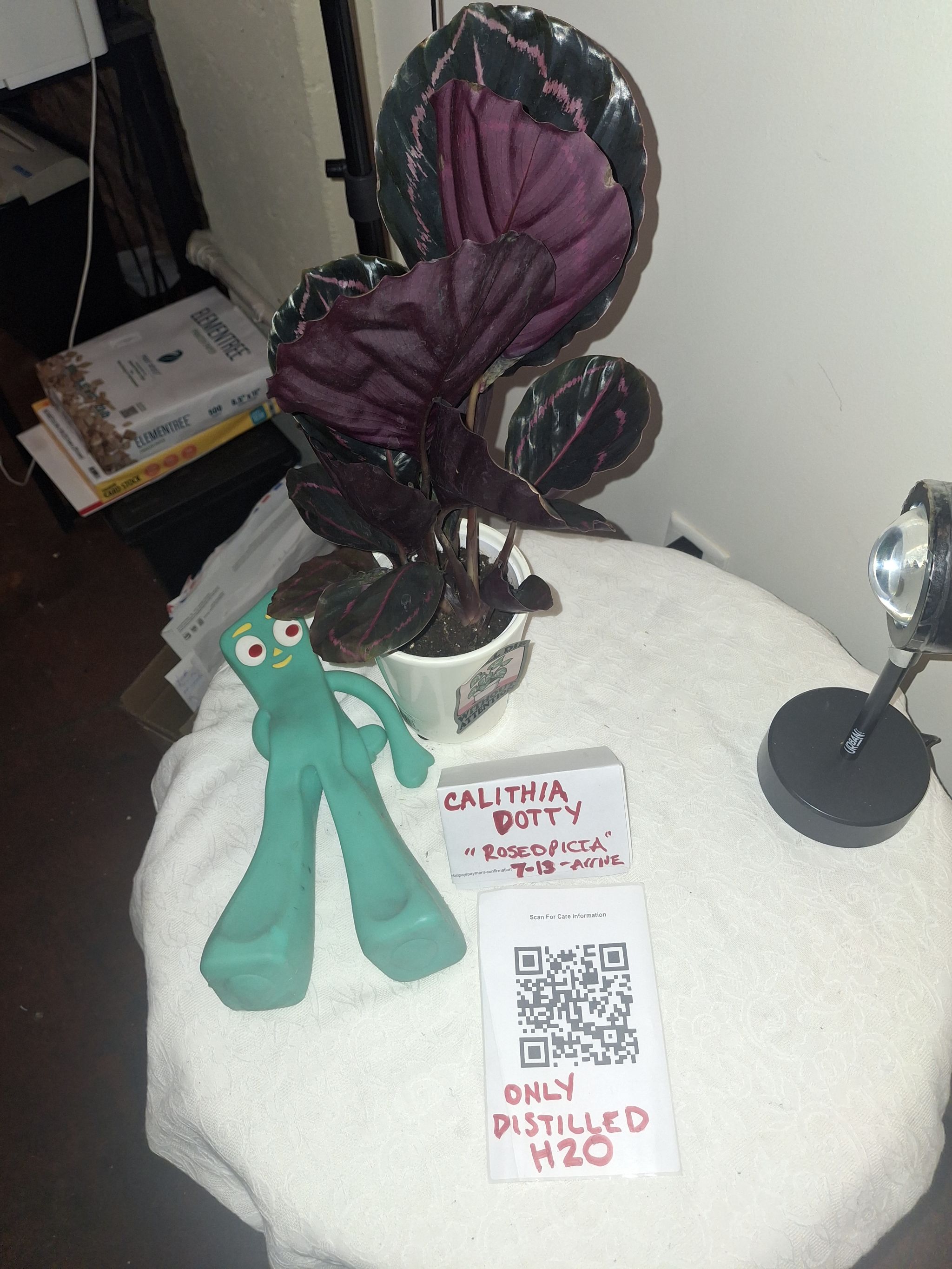 Photo from the post
