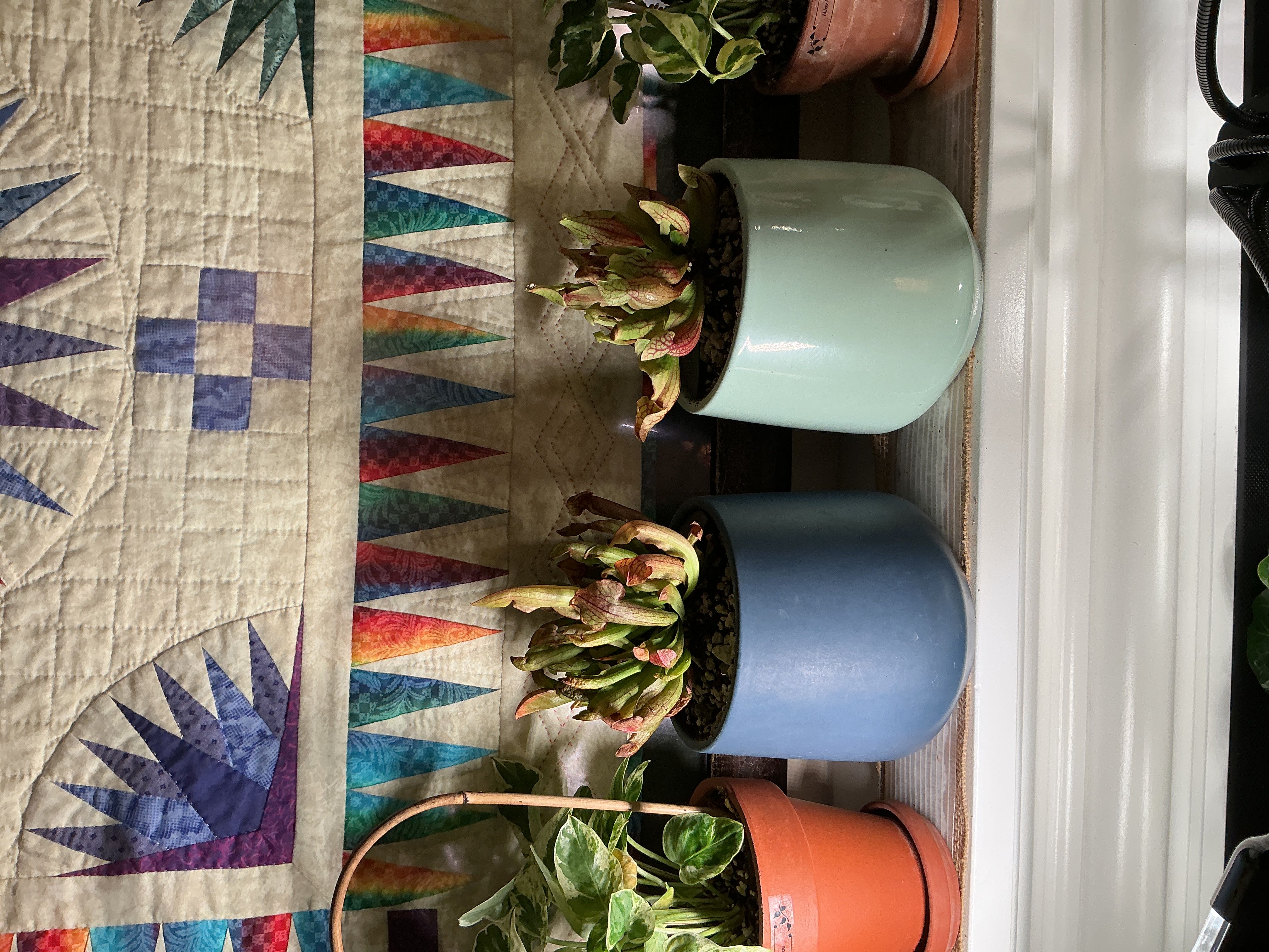 Photo from the post