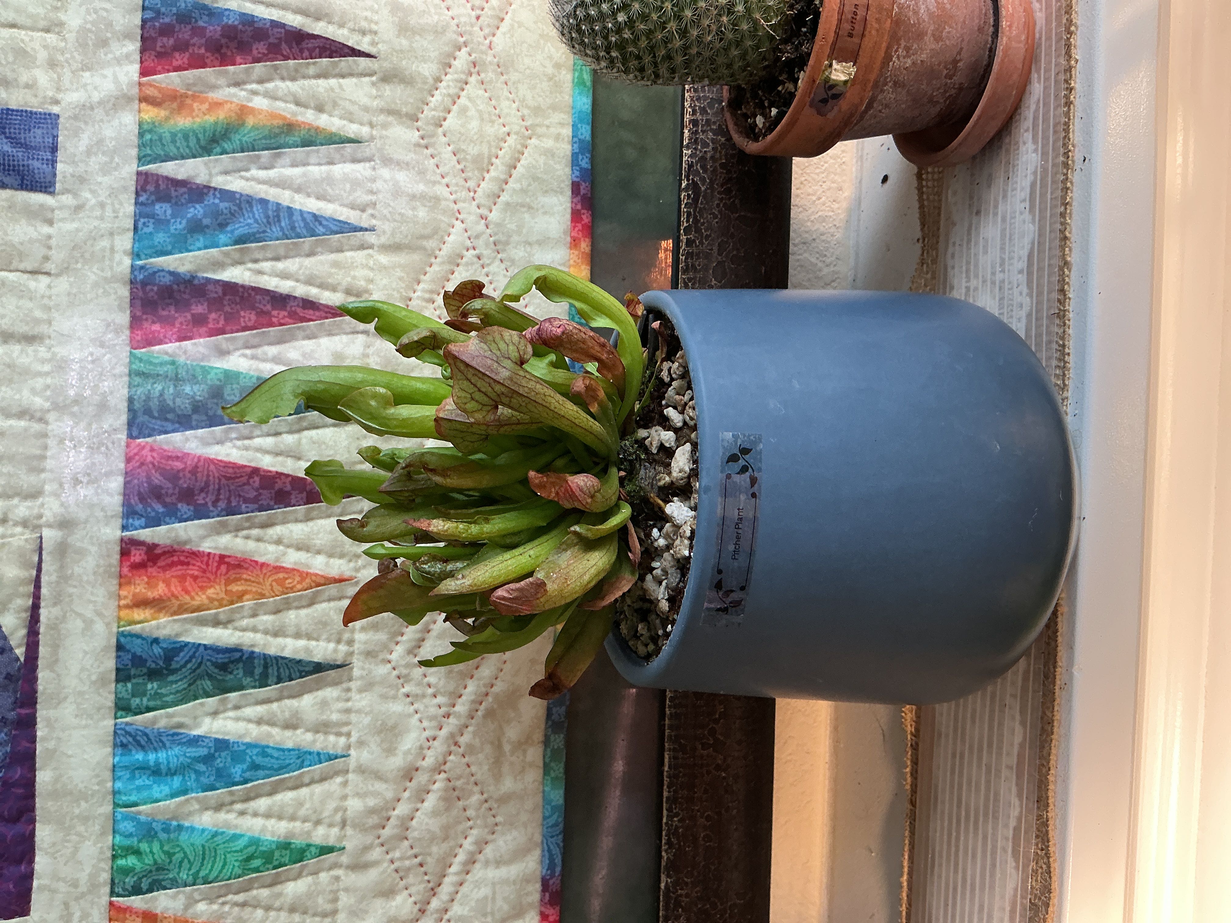 Photo from the post