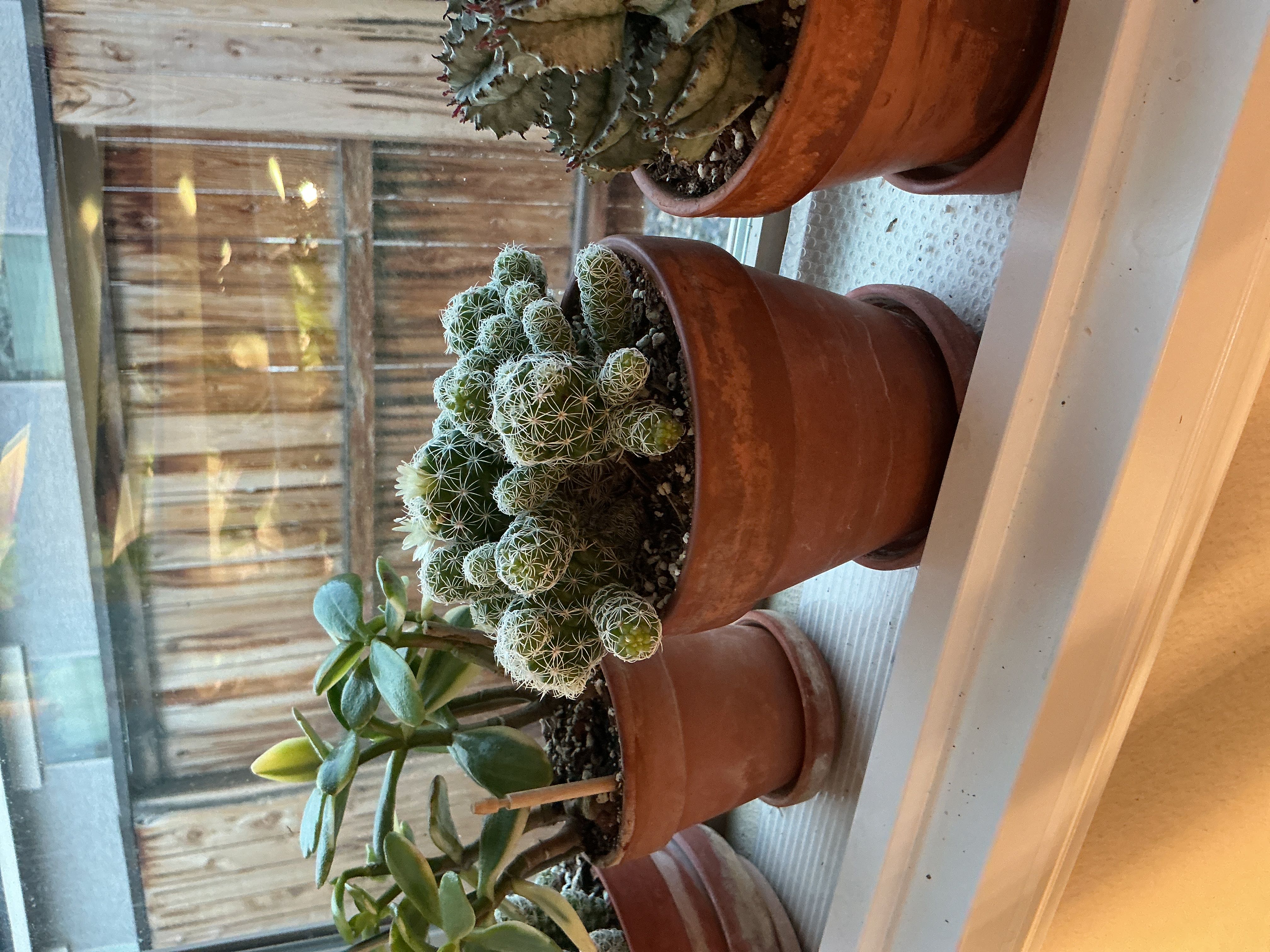 Photo from the post