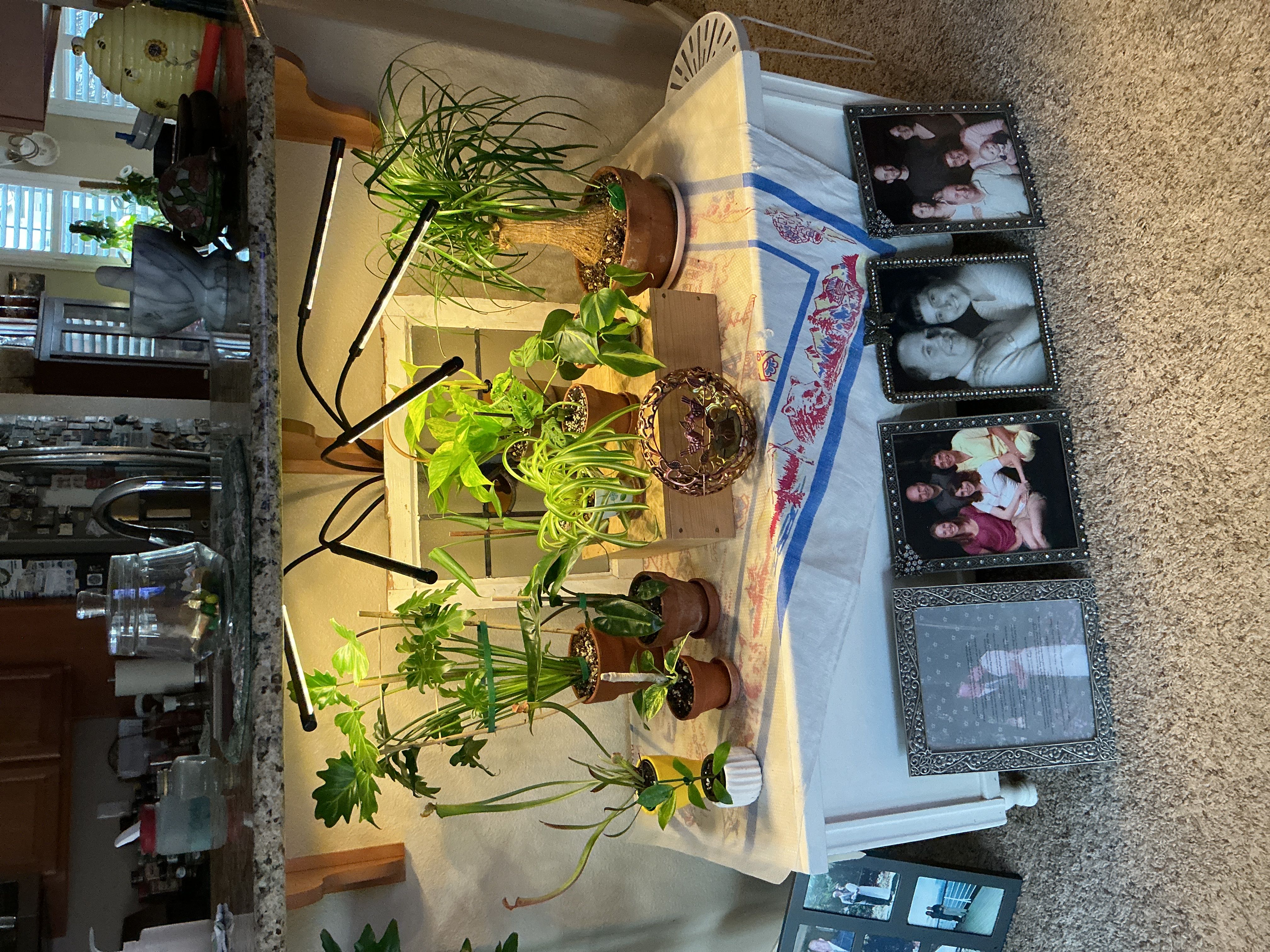 Photo from the post