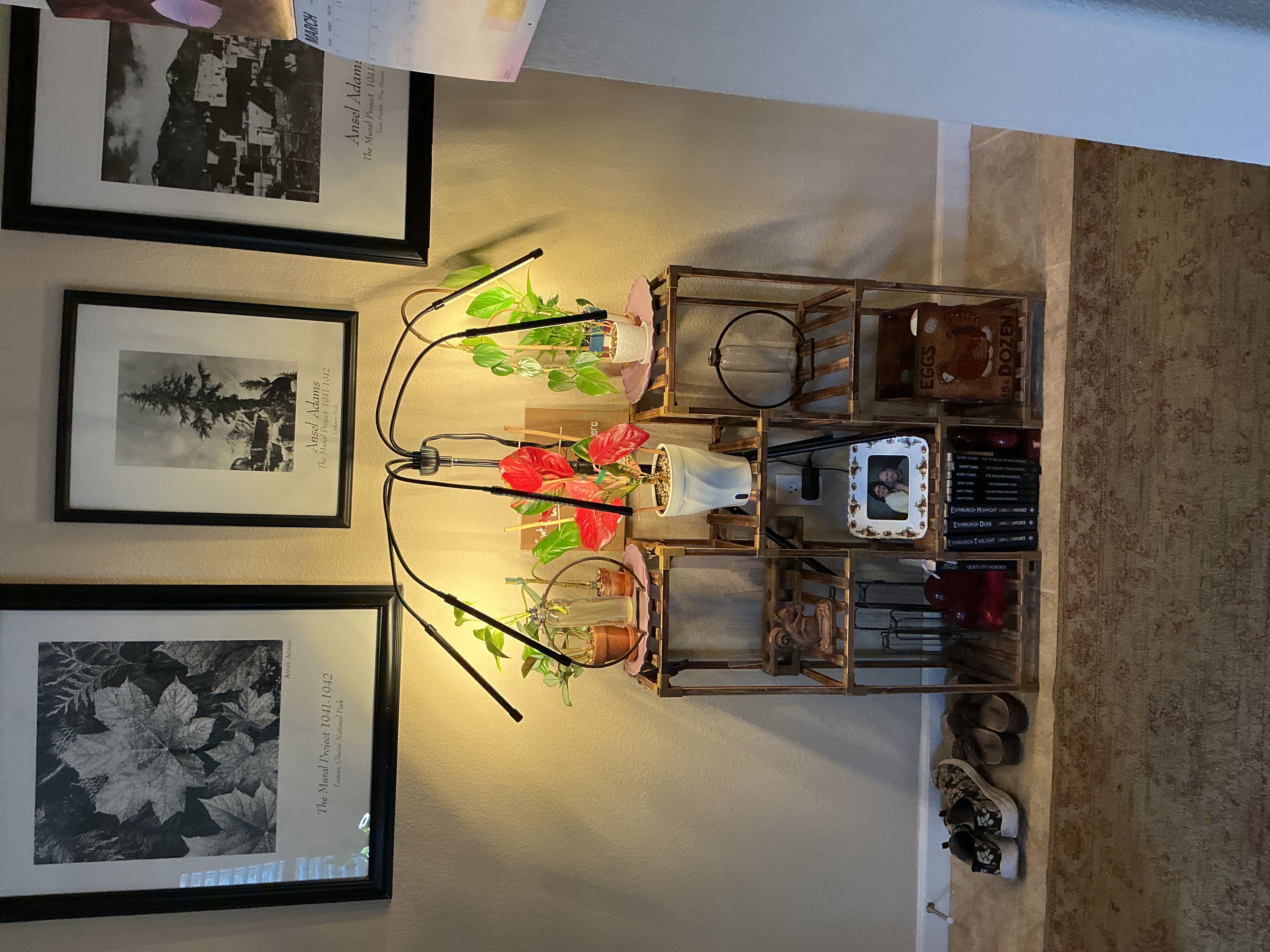 Photo from the post