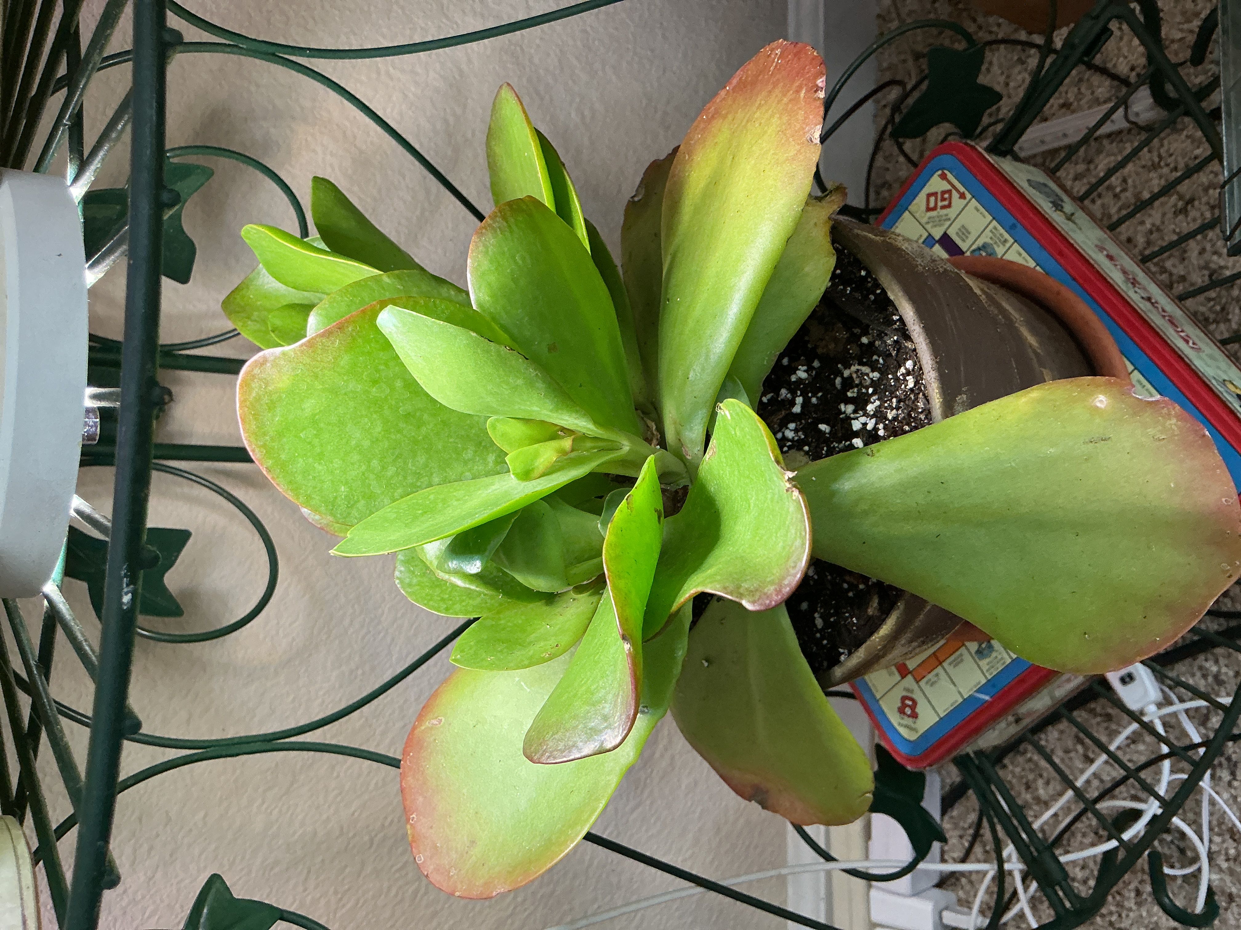 Photo from the post