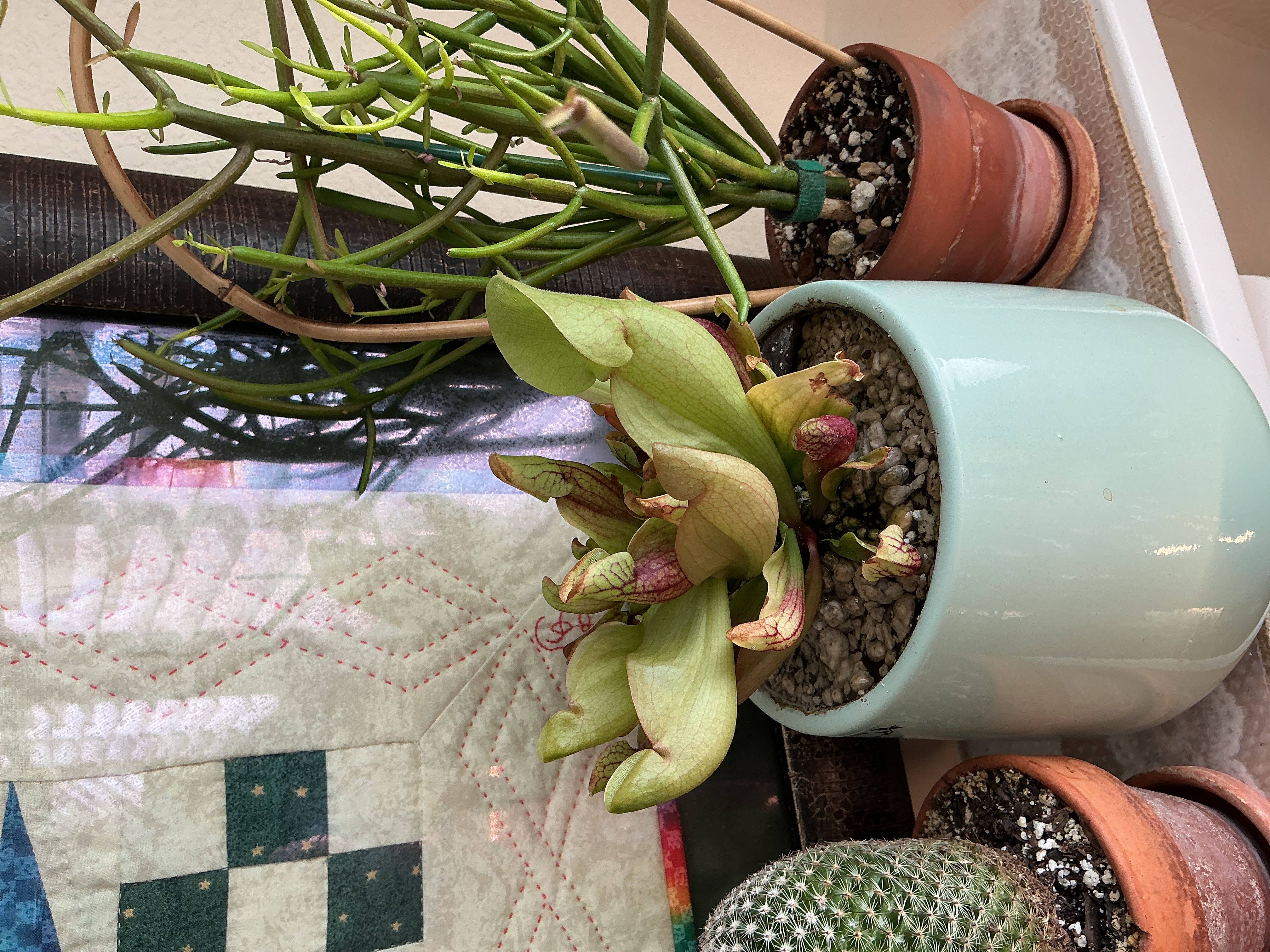 Photo from the post