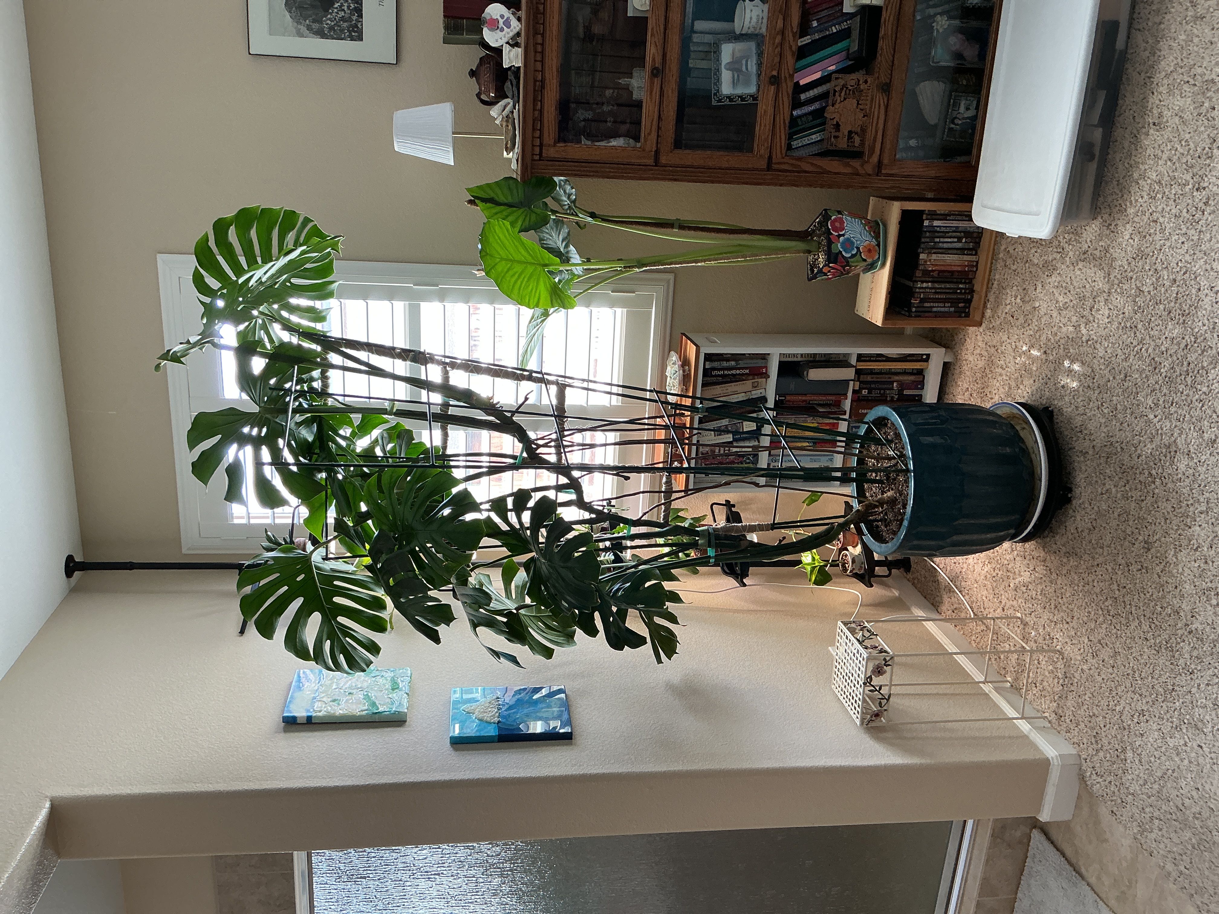 Photo from the post