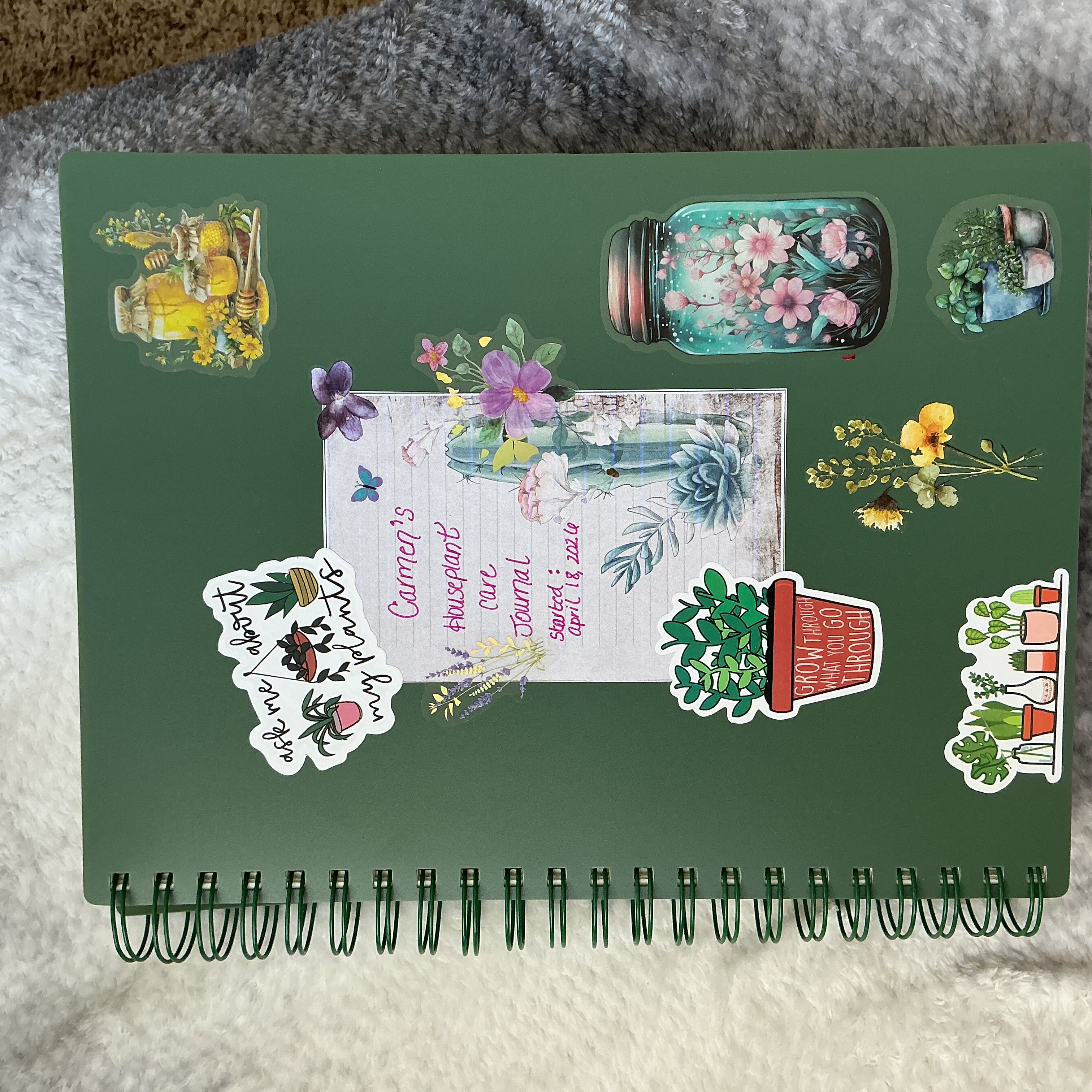 Photo from the post