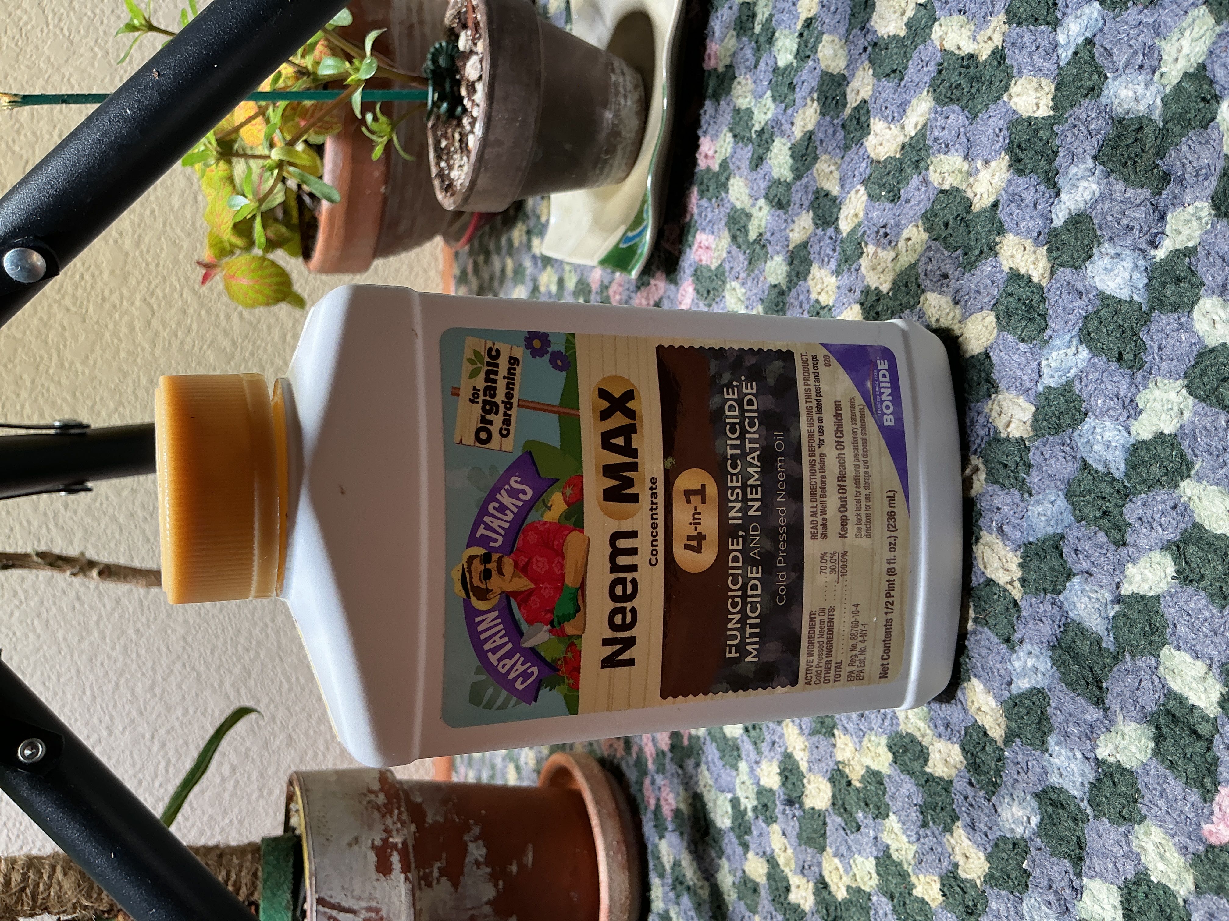Photo from the post