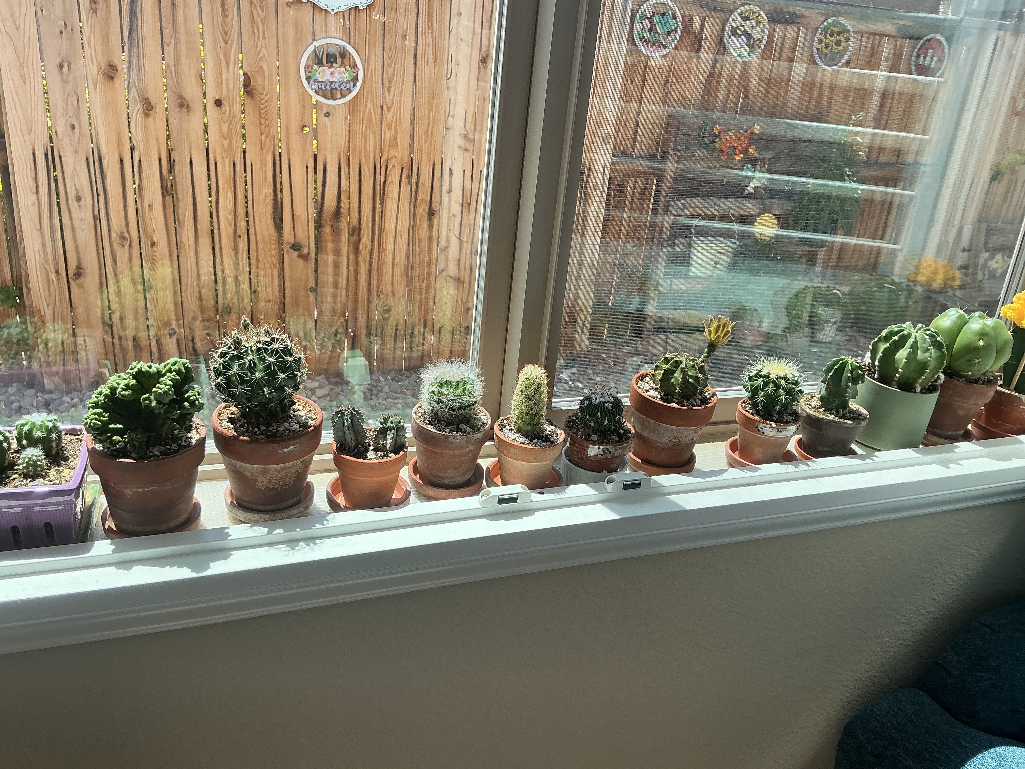Photo from the post