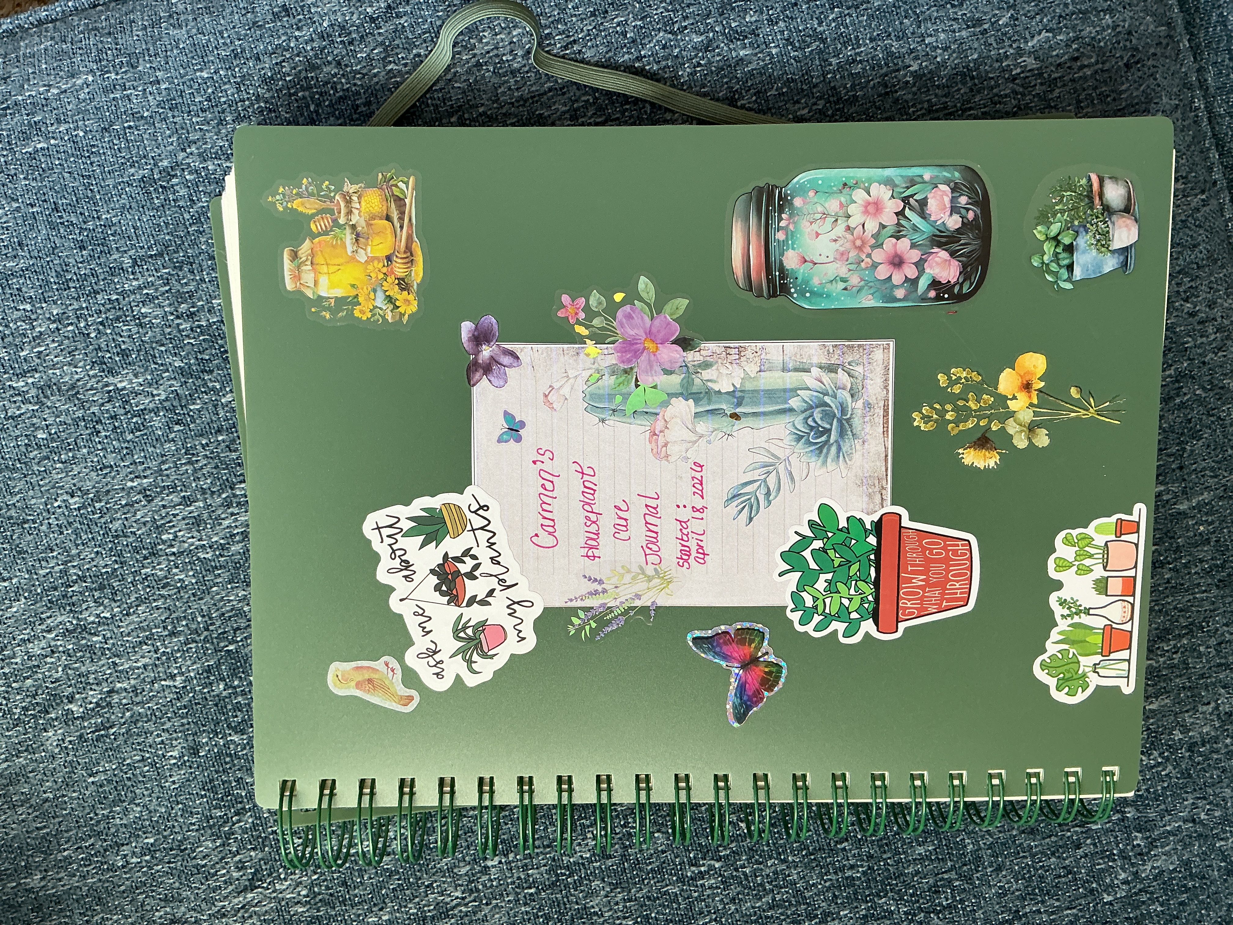 Photo from the post