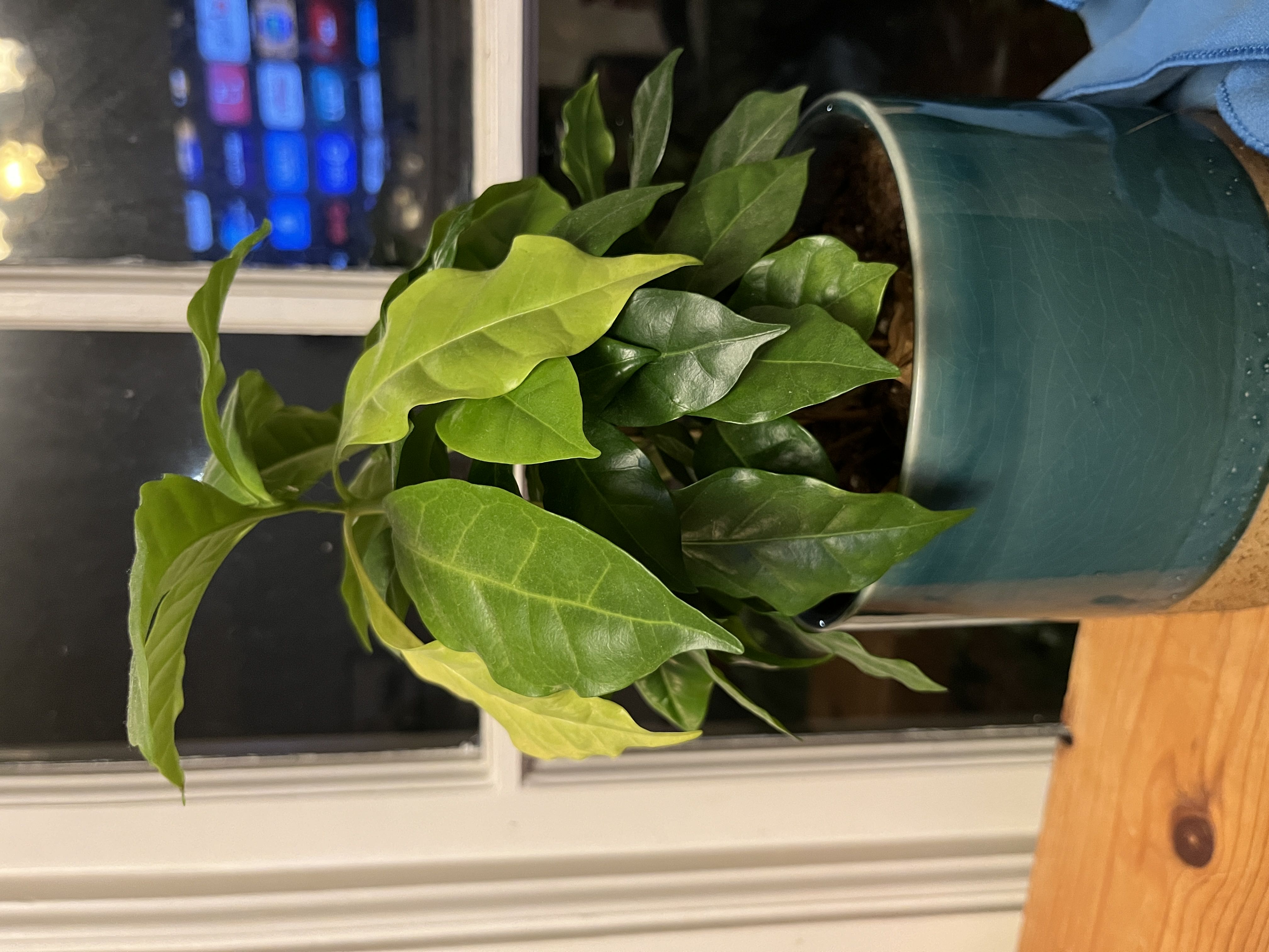 Photo from the post