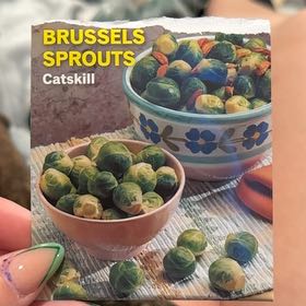 Photo of the plant species Brussel Sprout by @GreatGrumichama named Madonna on Greg, the plant care app