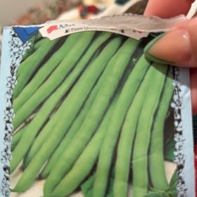 Photo of the plant species Tendergreen Bean by @GreatGrumichama named Beyonce on Greg, the plant care app
