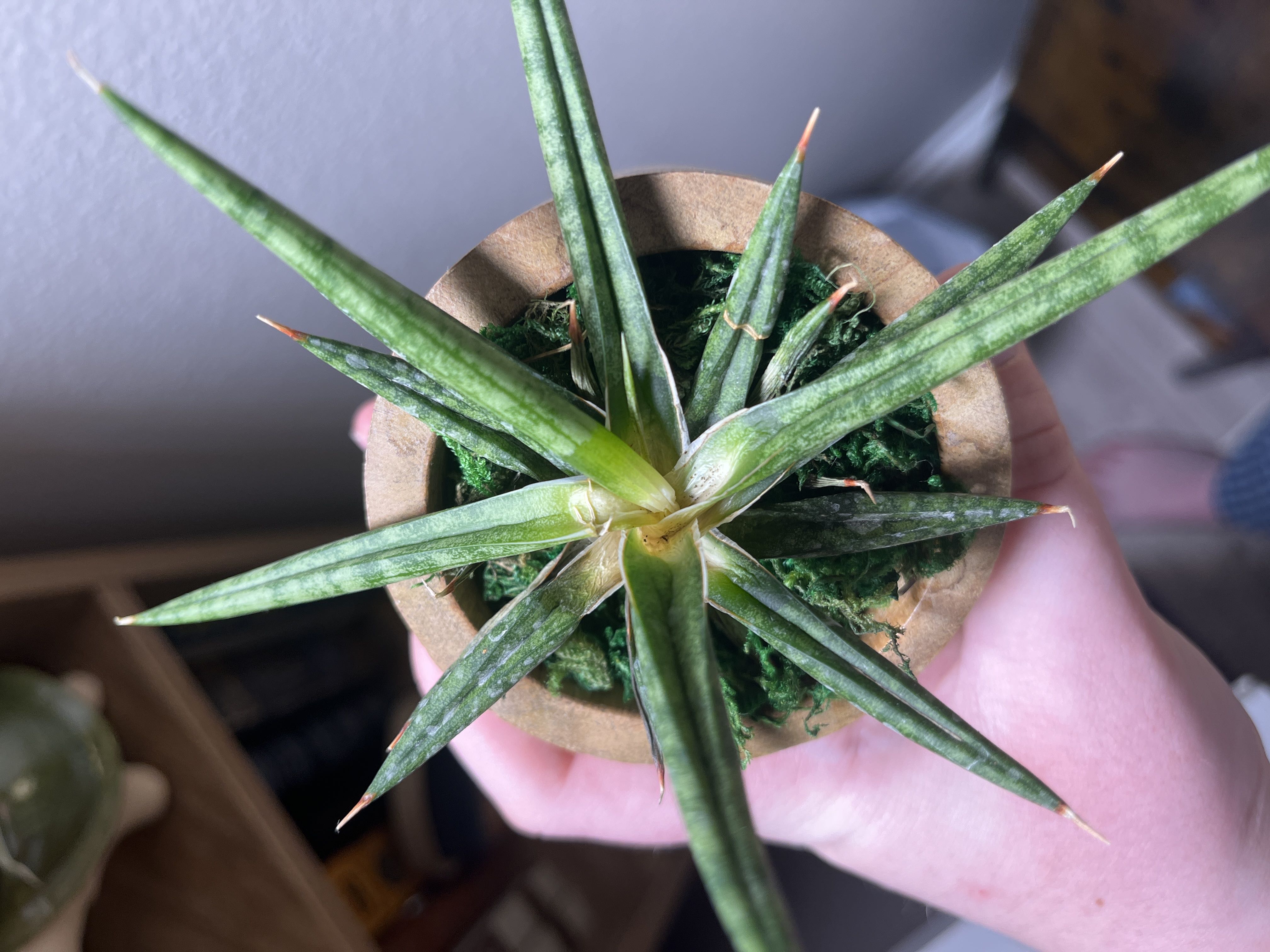 Photo from the post