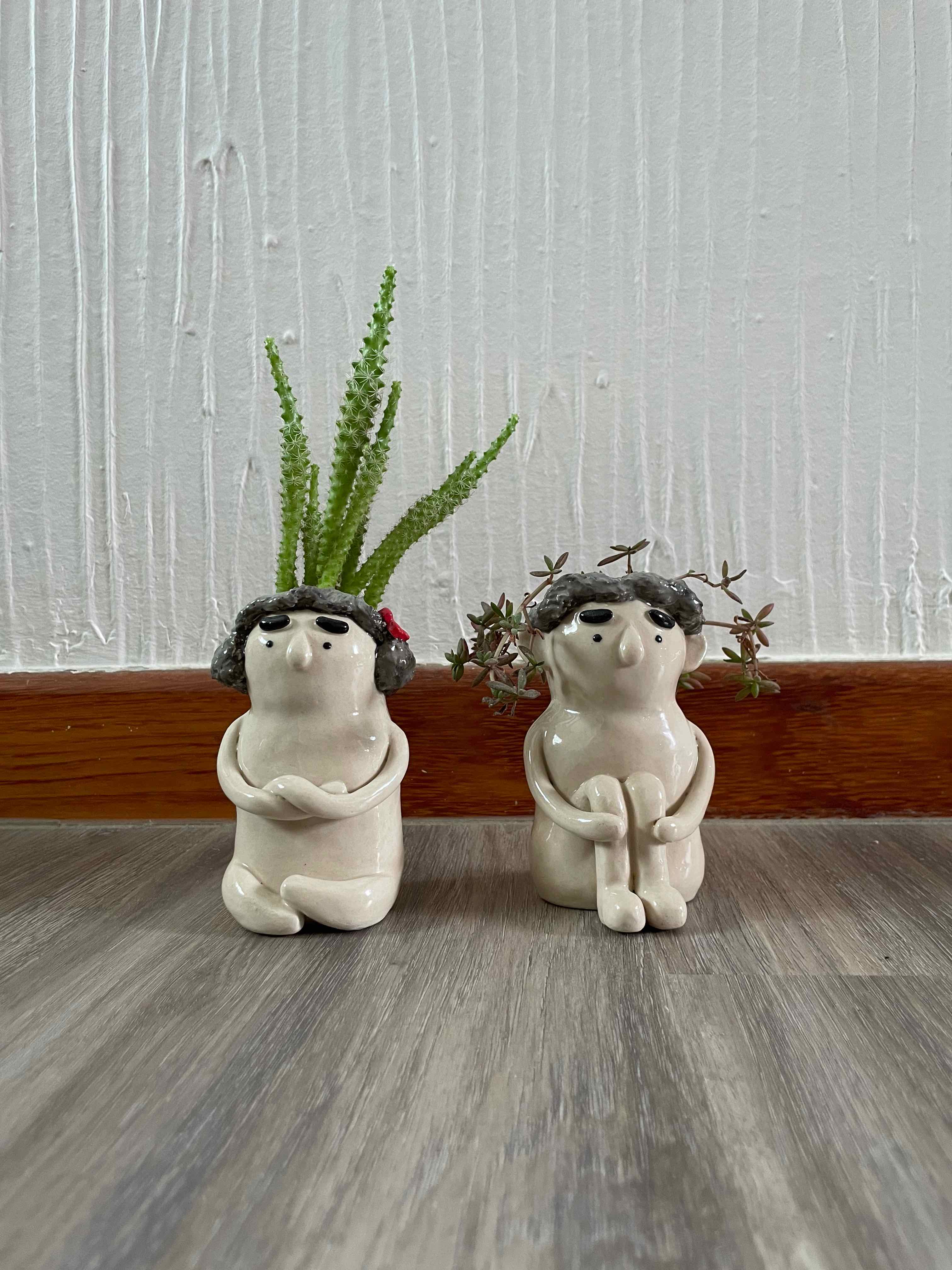 Photo of the plant species Crassula humbertii by @Tootaloot named Billy and Brenda on Greg, the plant care app