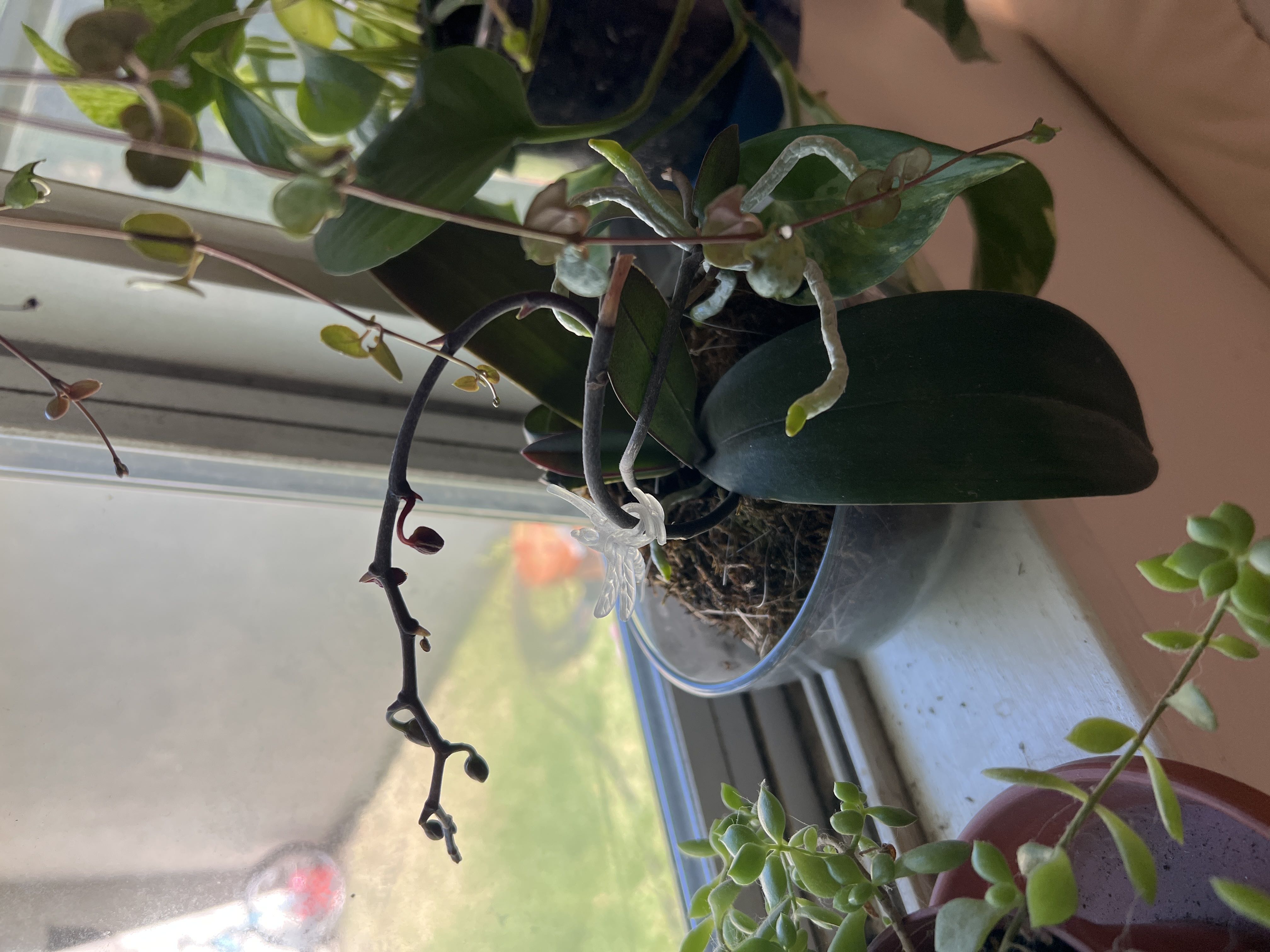 Photo from the post