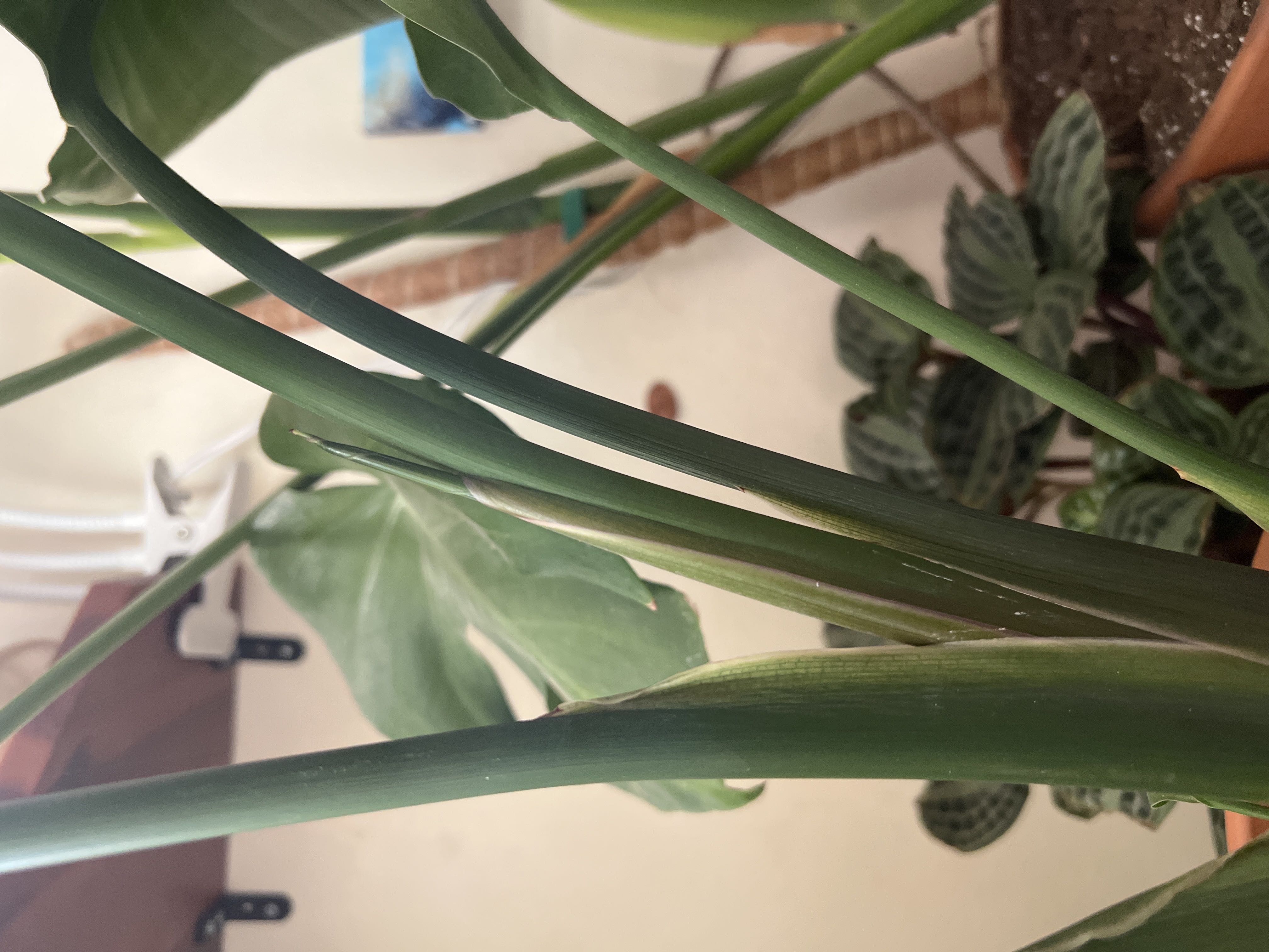 Photo from the post