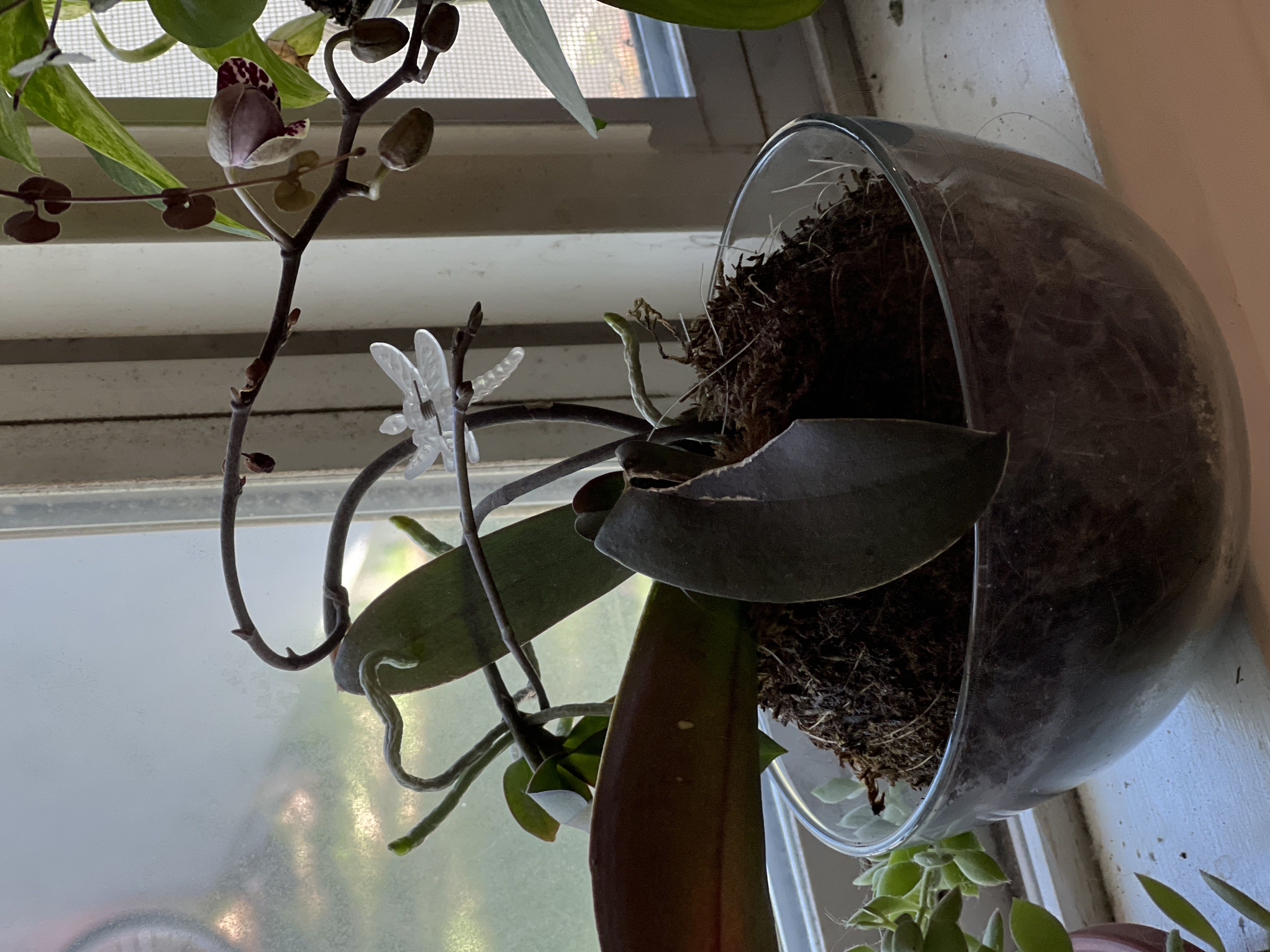 Photo from the post