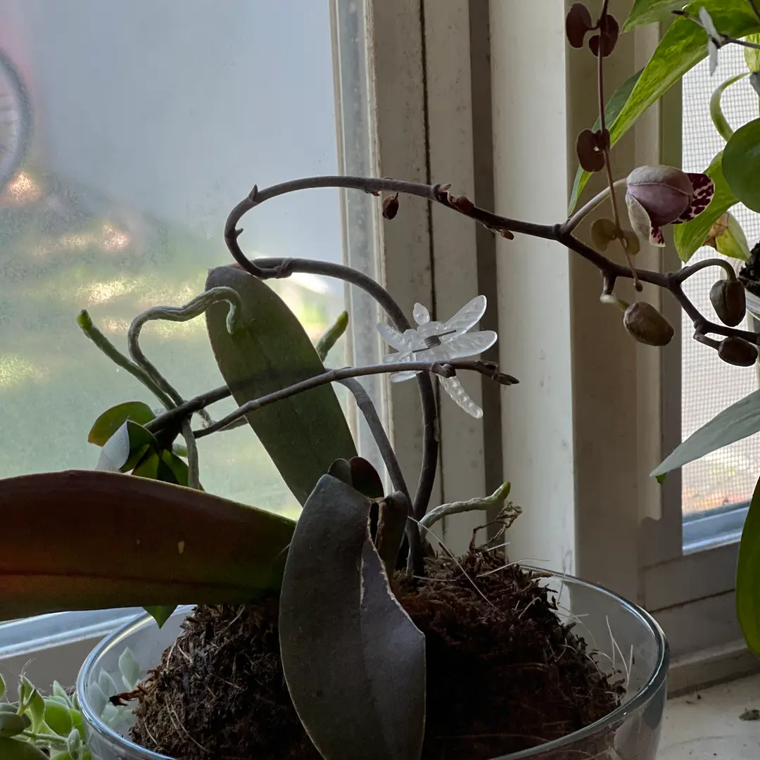 Photo from the post