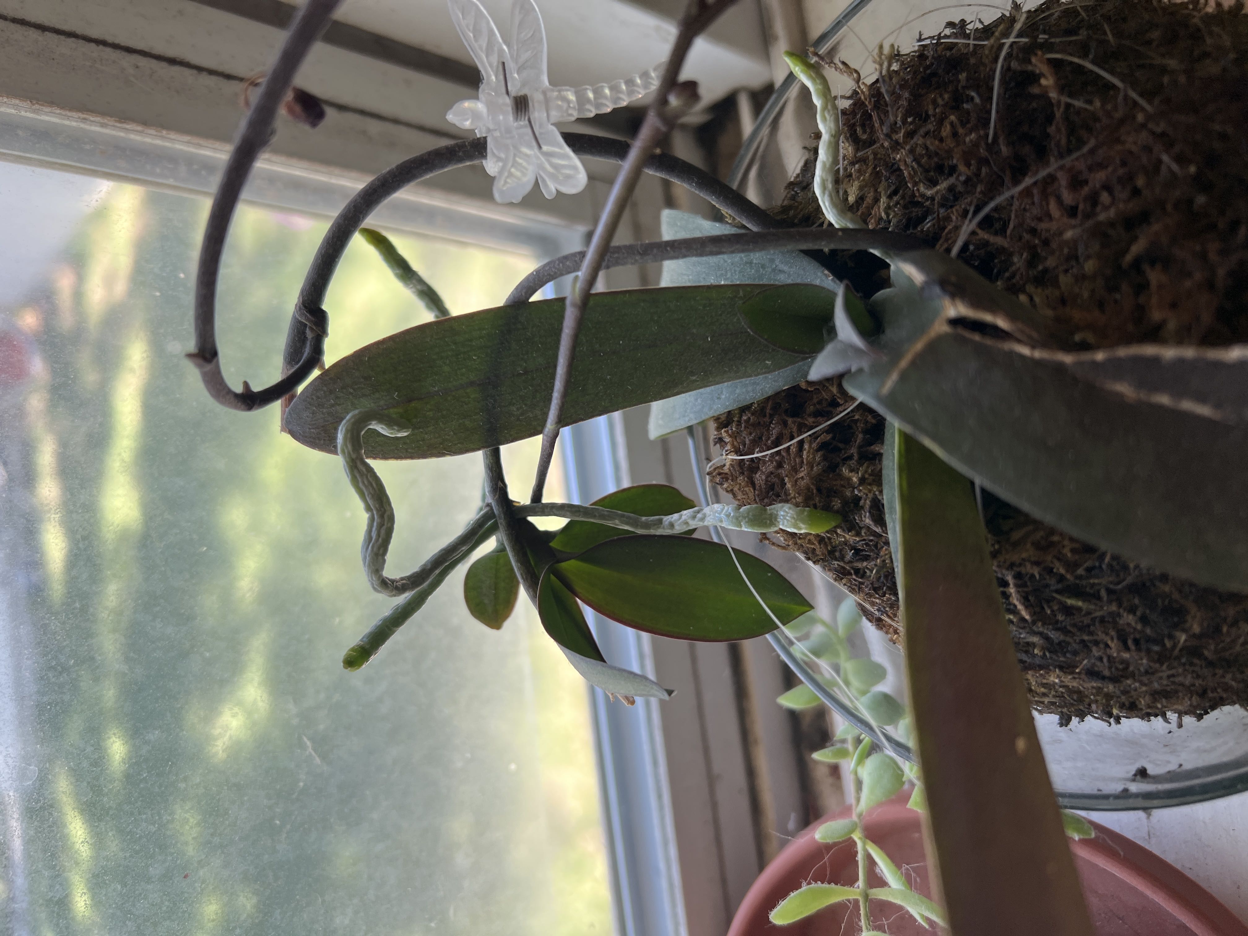 Photo from the post