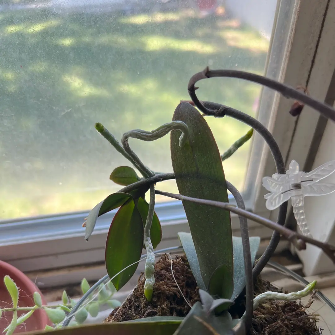 Photo from the post