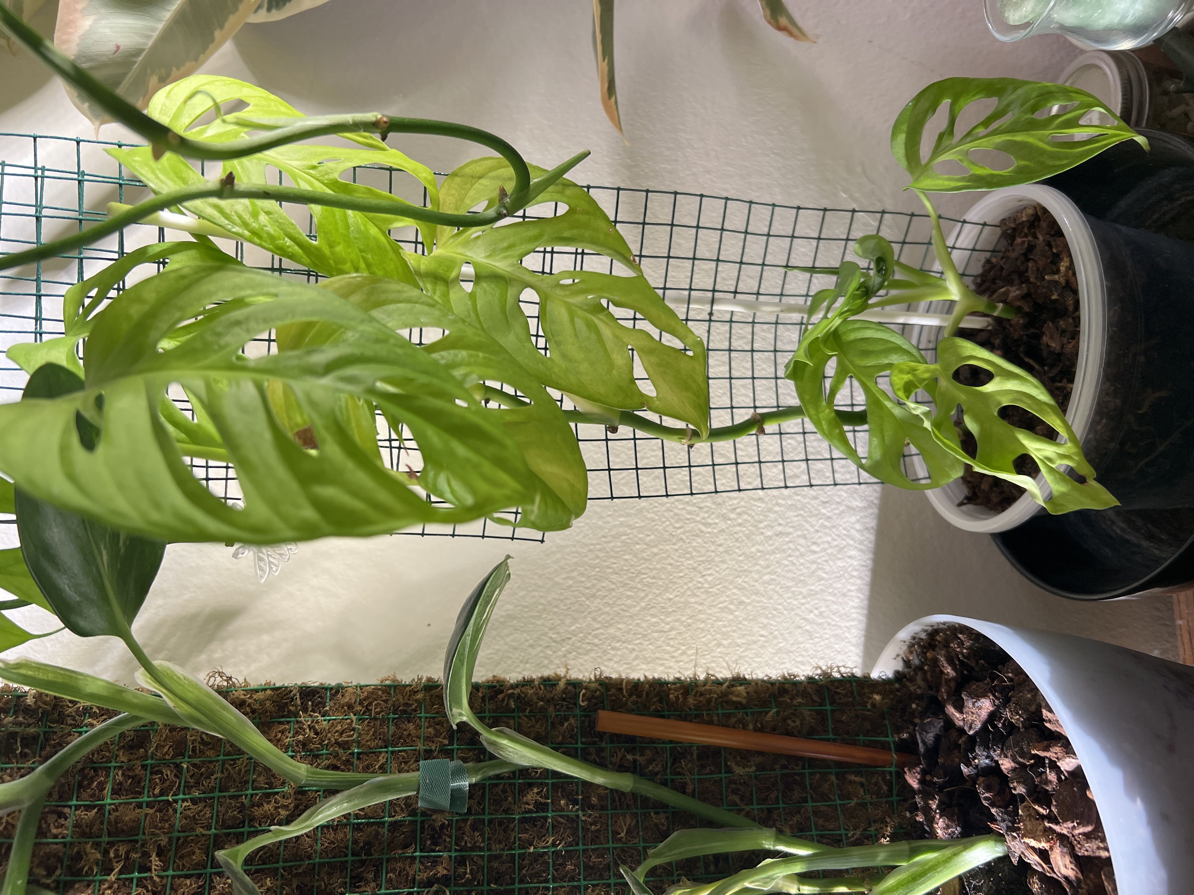 Photo from the post