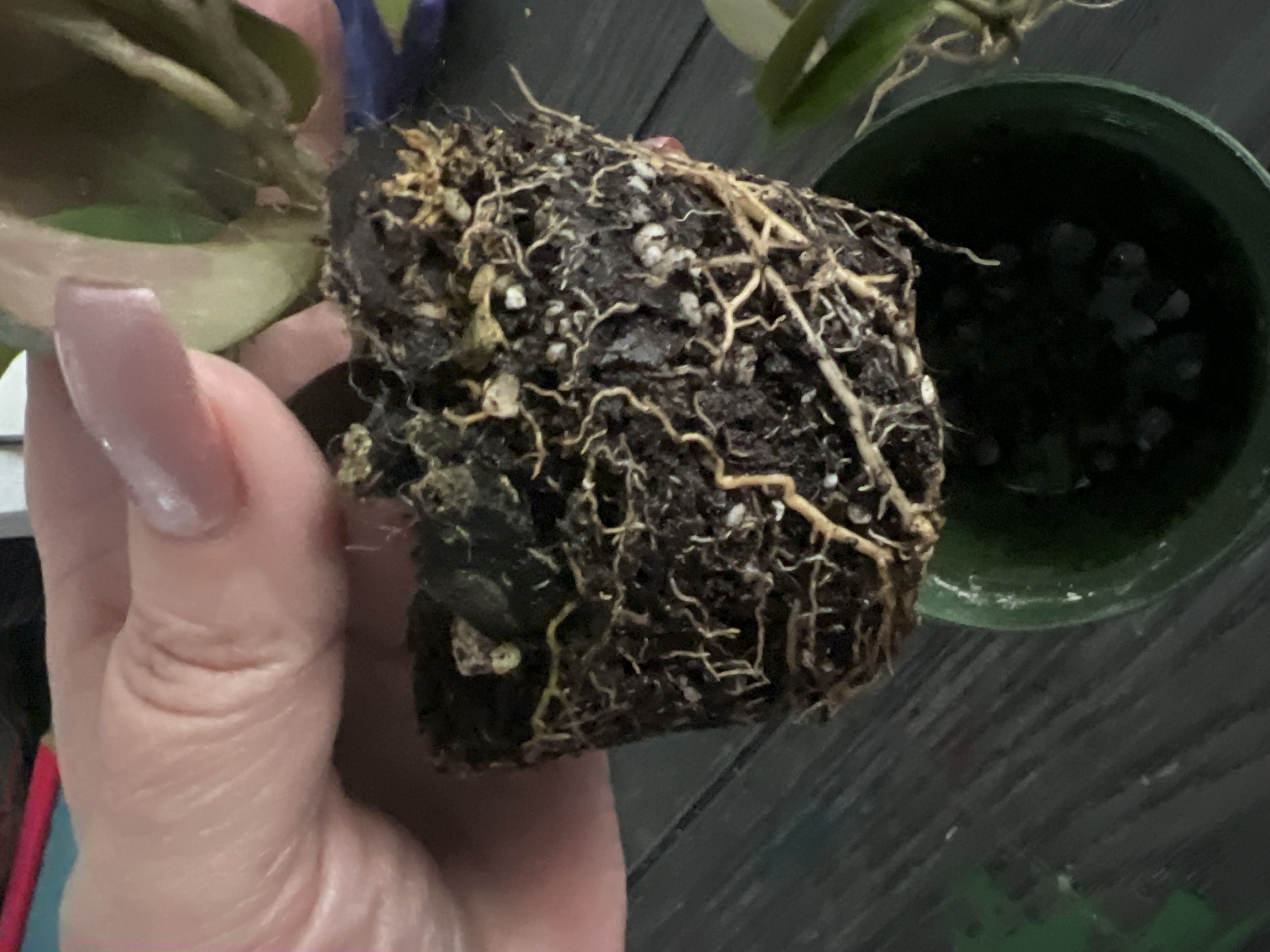 Photo from the post