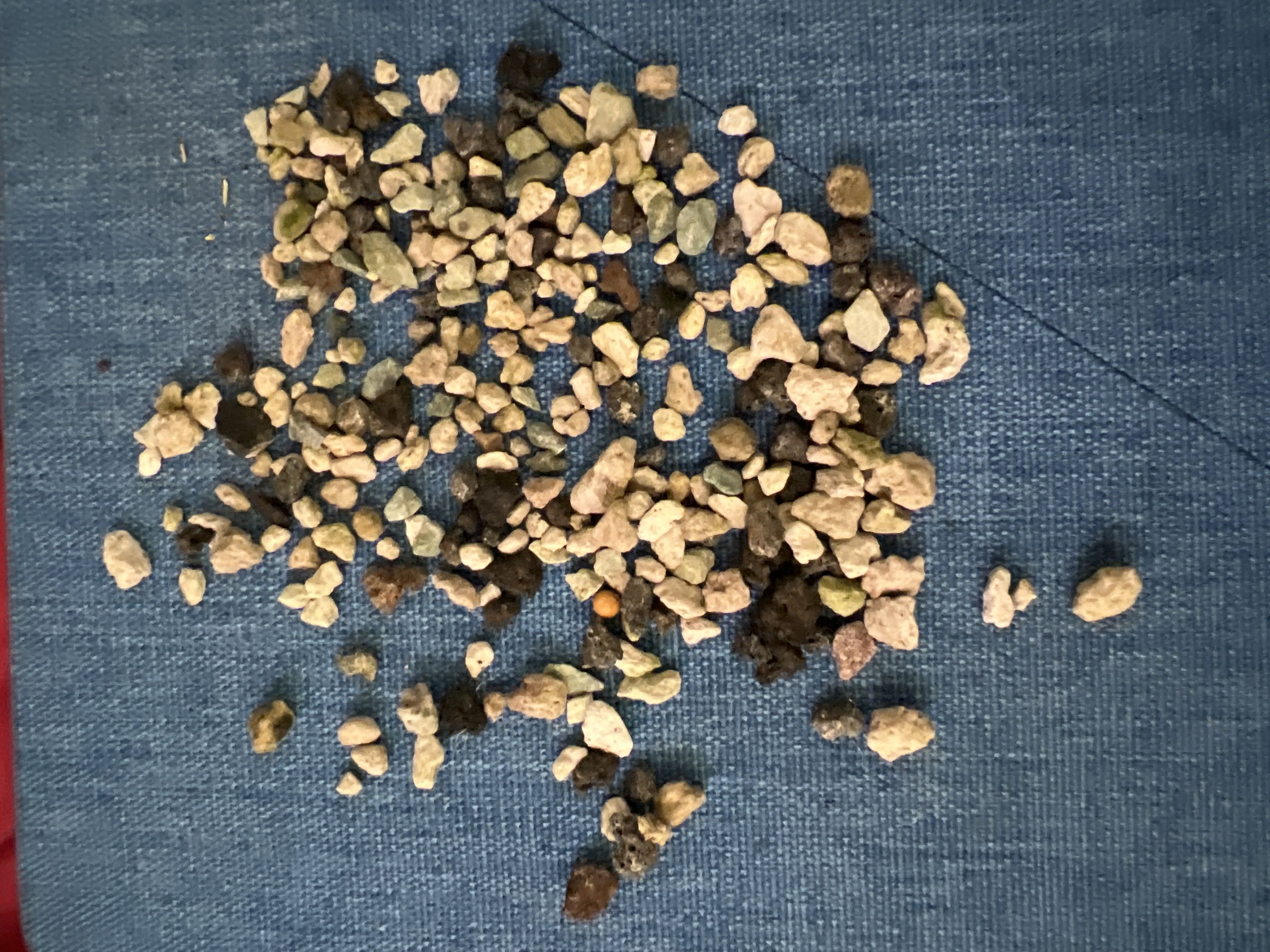 Photo from the post