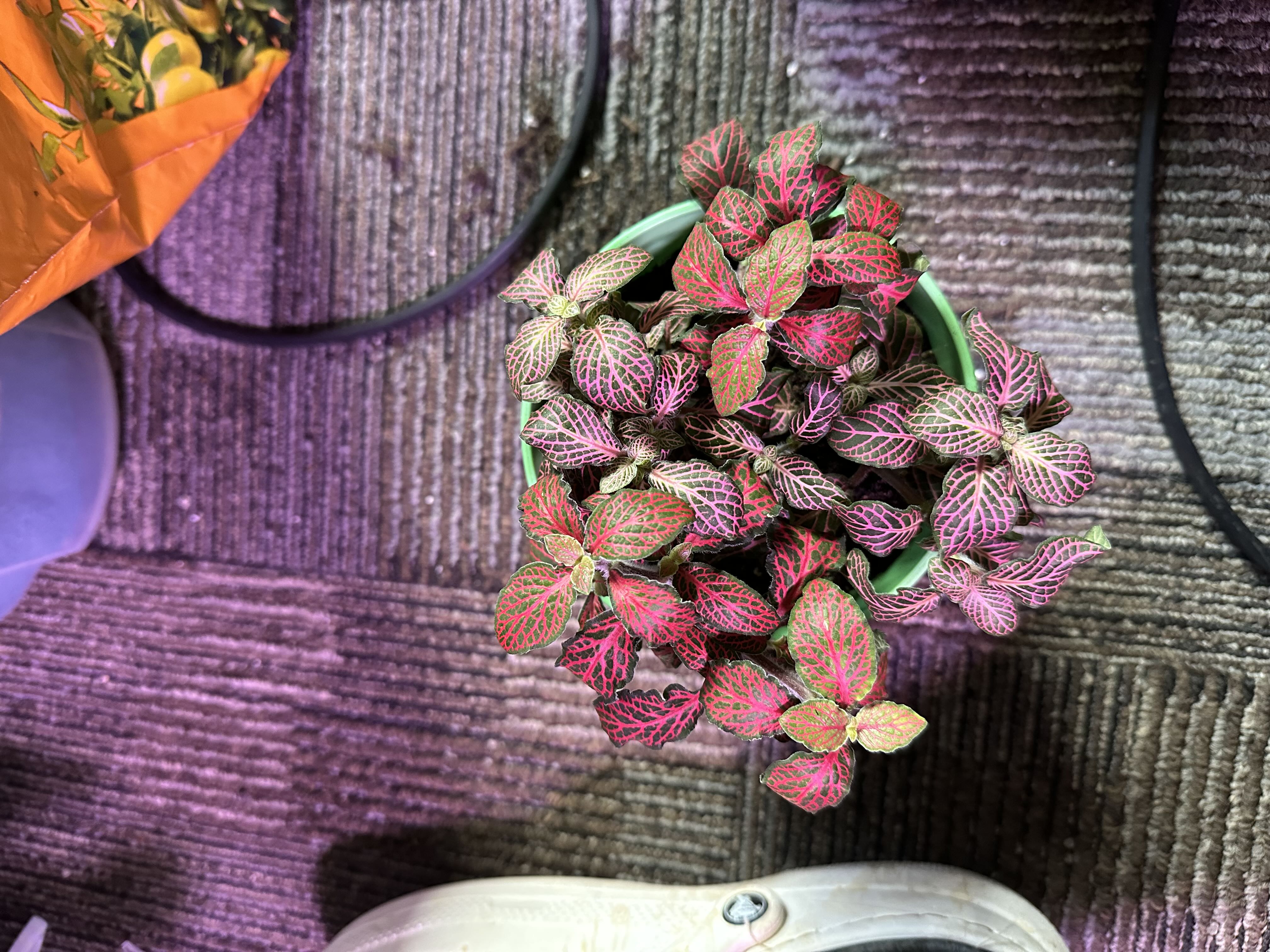 Photo from the post