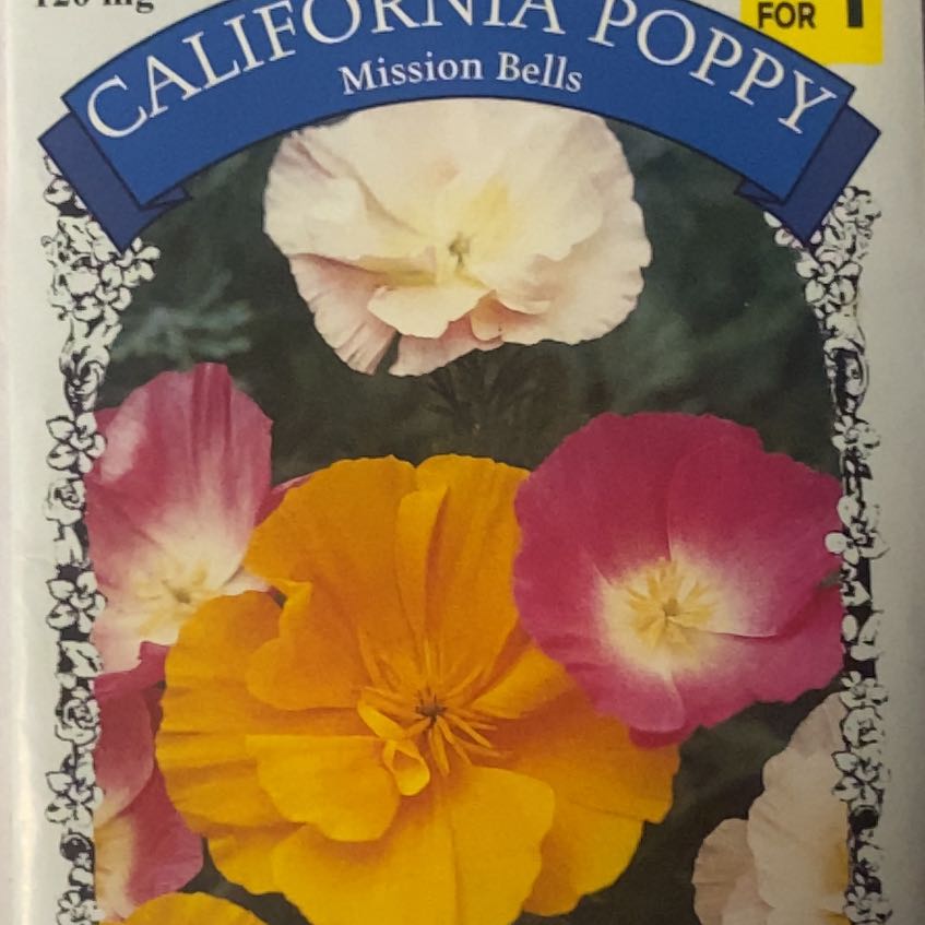 Photo of the plant species California Poppy 'Mission Bells' by @StockyBalsam37 named Tupot amaroot on Greg, the plant care app