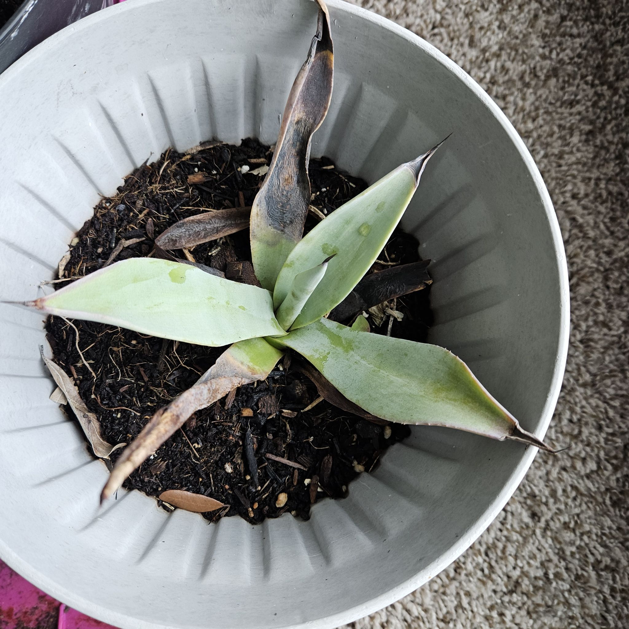 Photo from the post