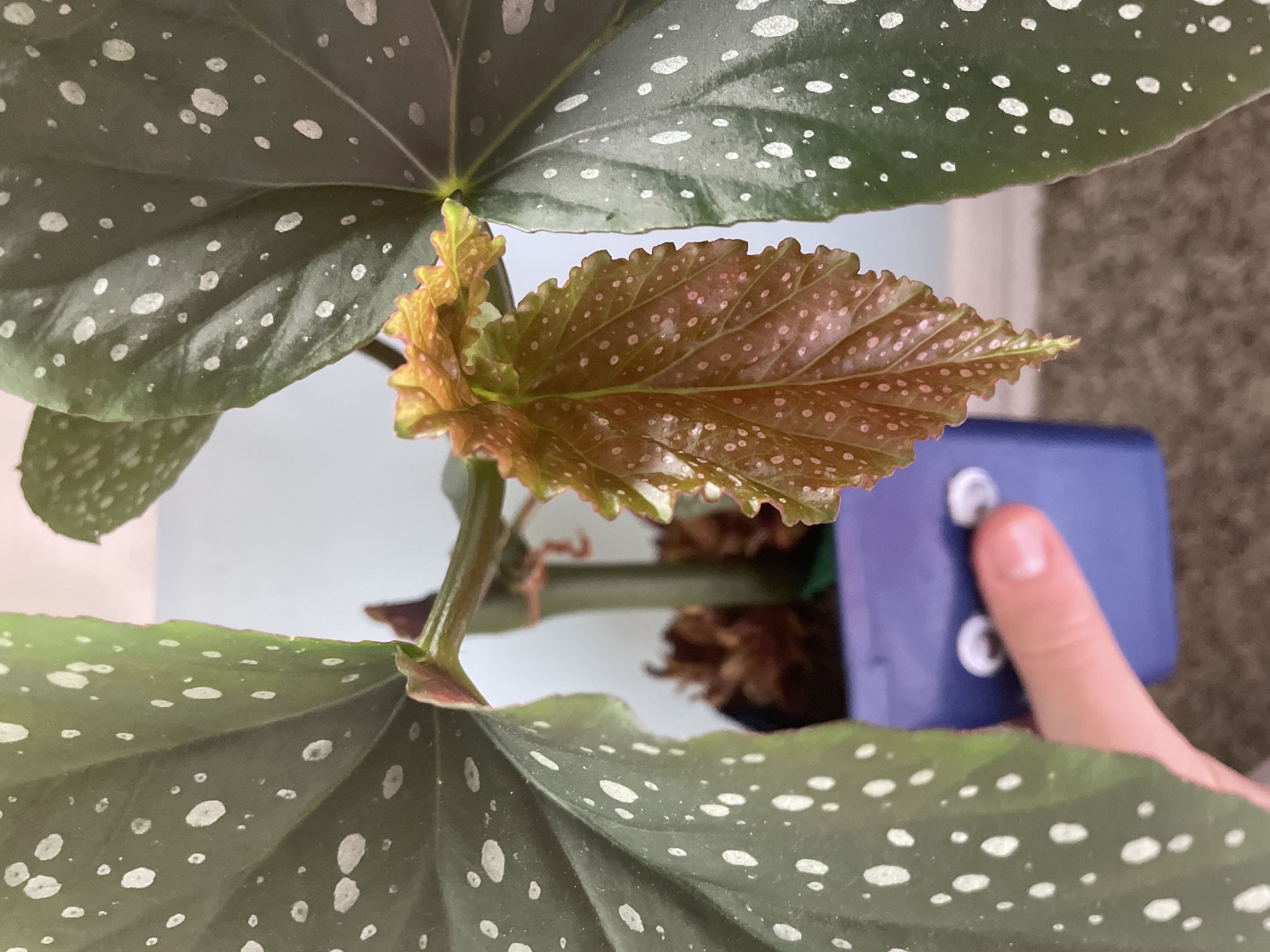Photo from the post