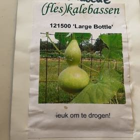 Photo of the plant species Bottle gourd by @GumptiousOnion named Robert Plant on Greg, the plant care app
