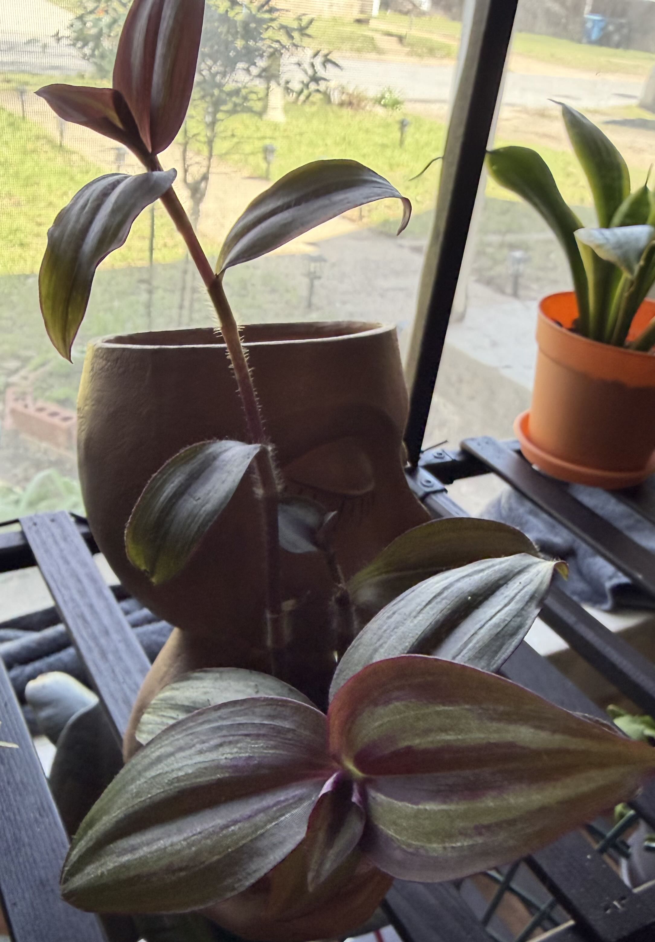 Photo from the post