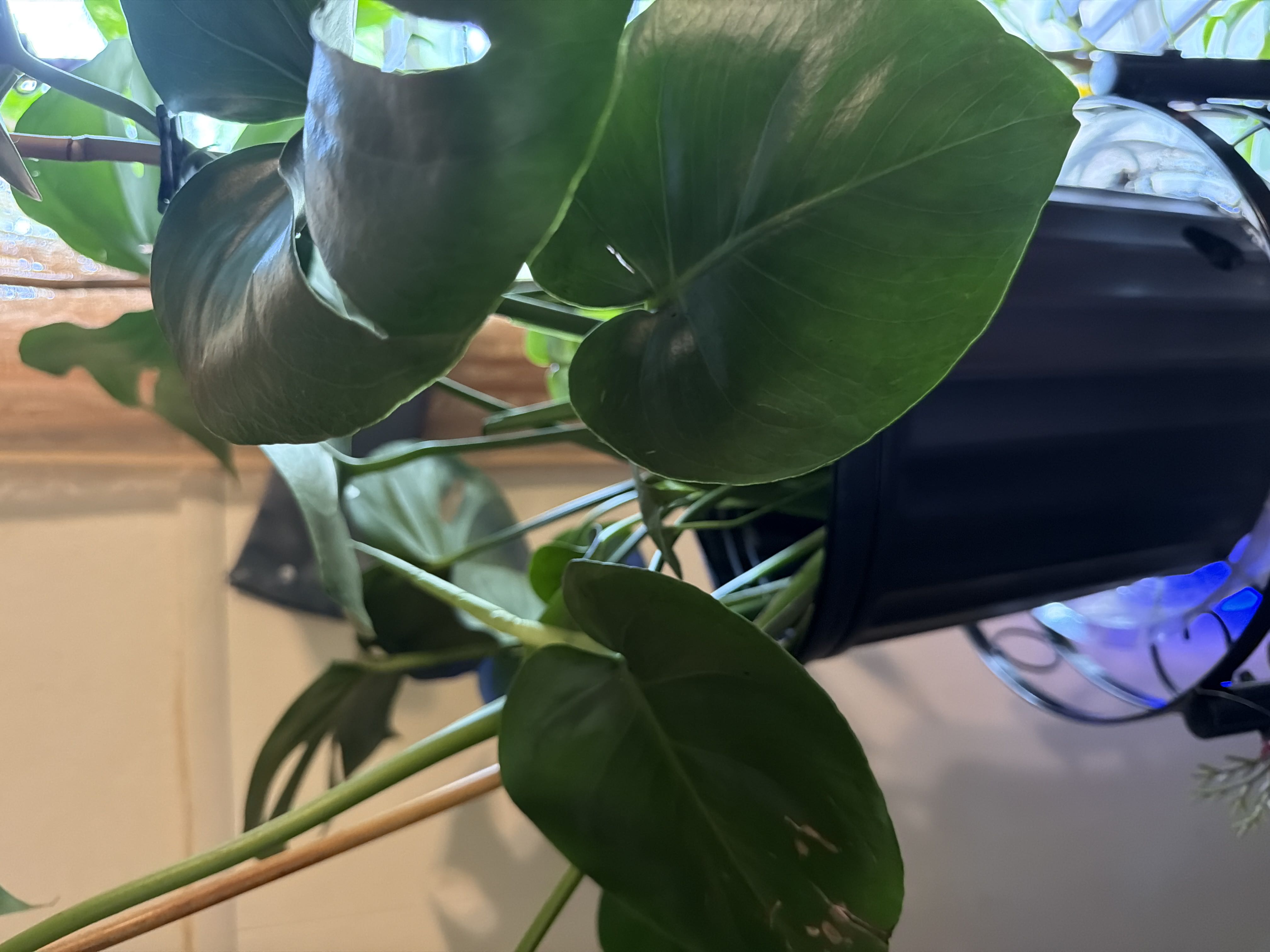 Photo from the post