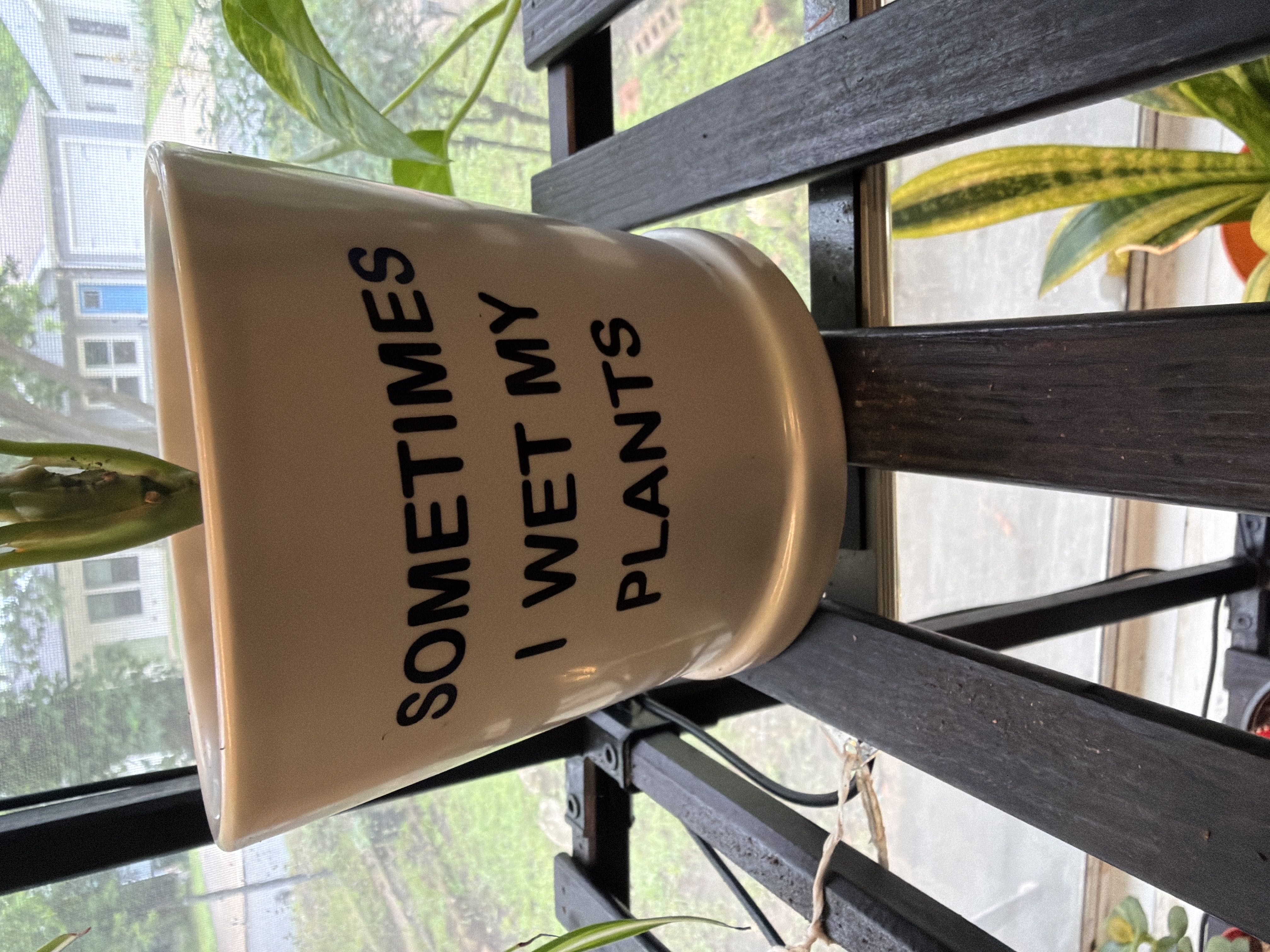 Photo from the post