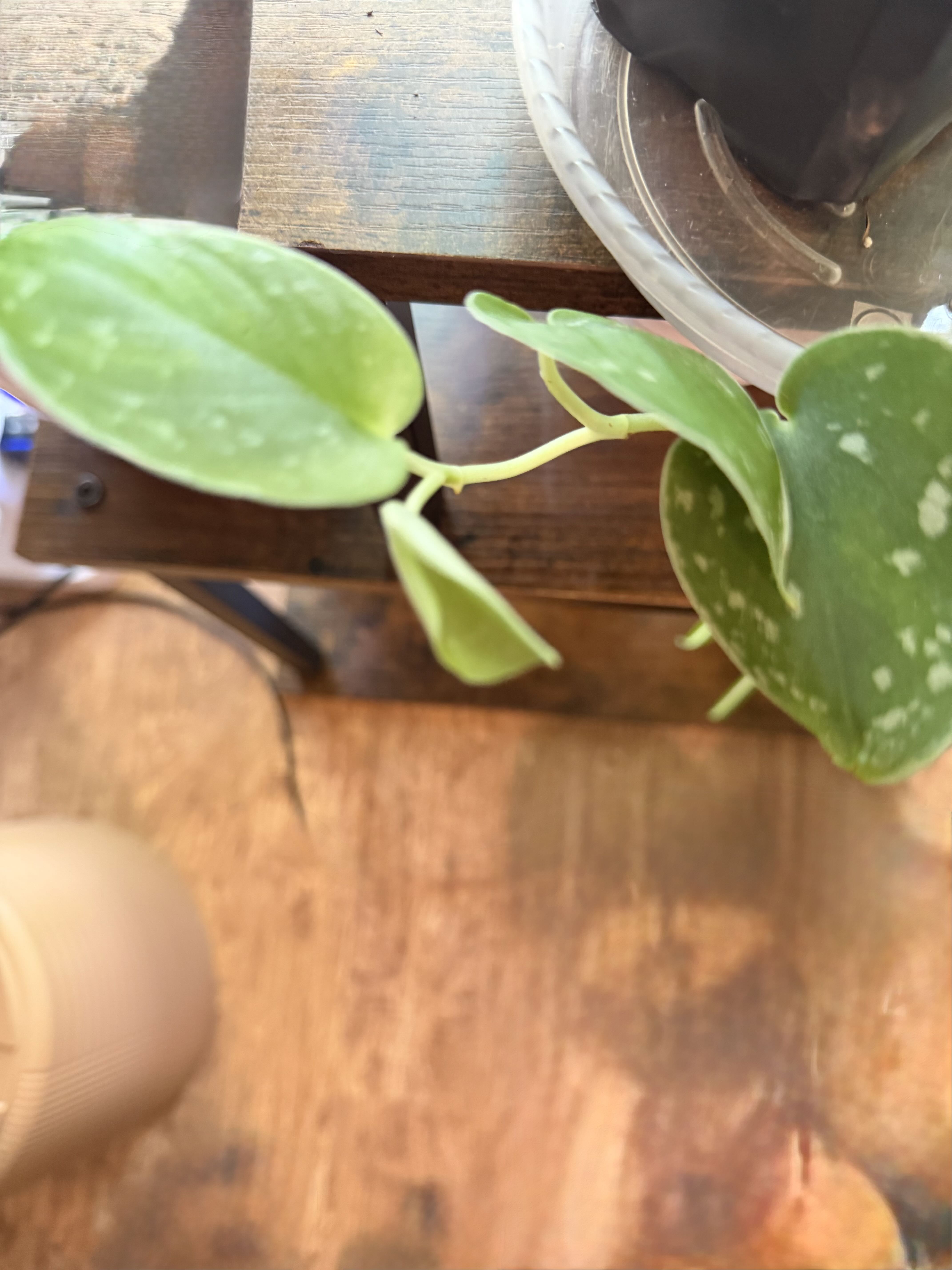 Photo from the post