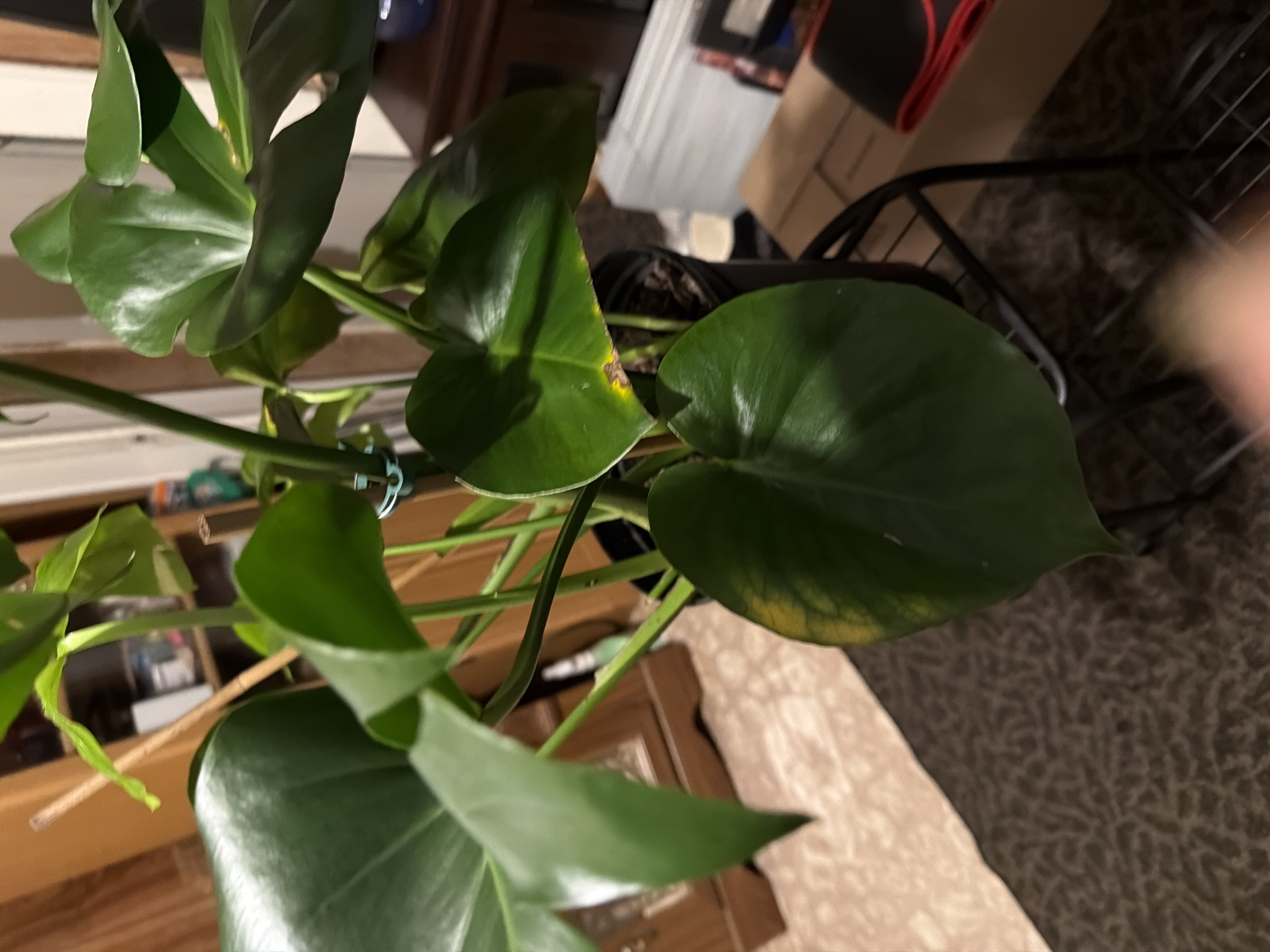 Photo from the post