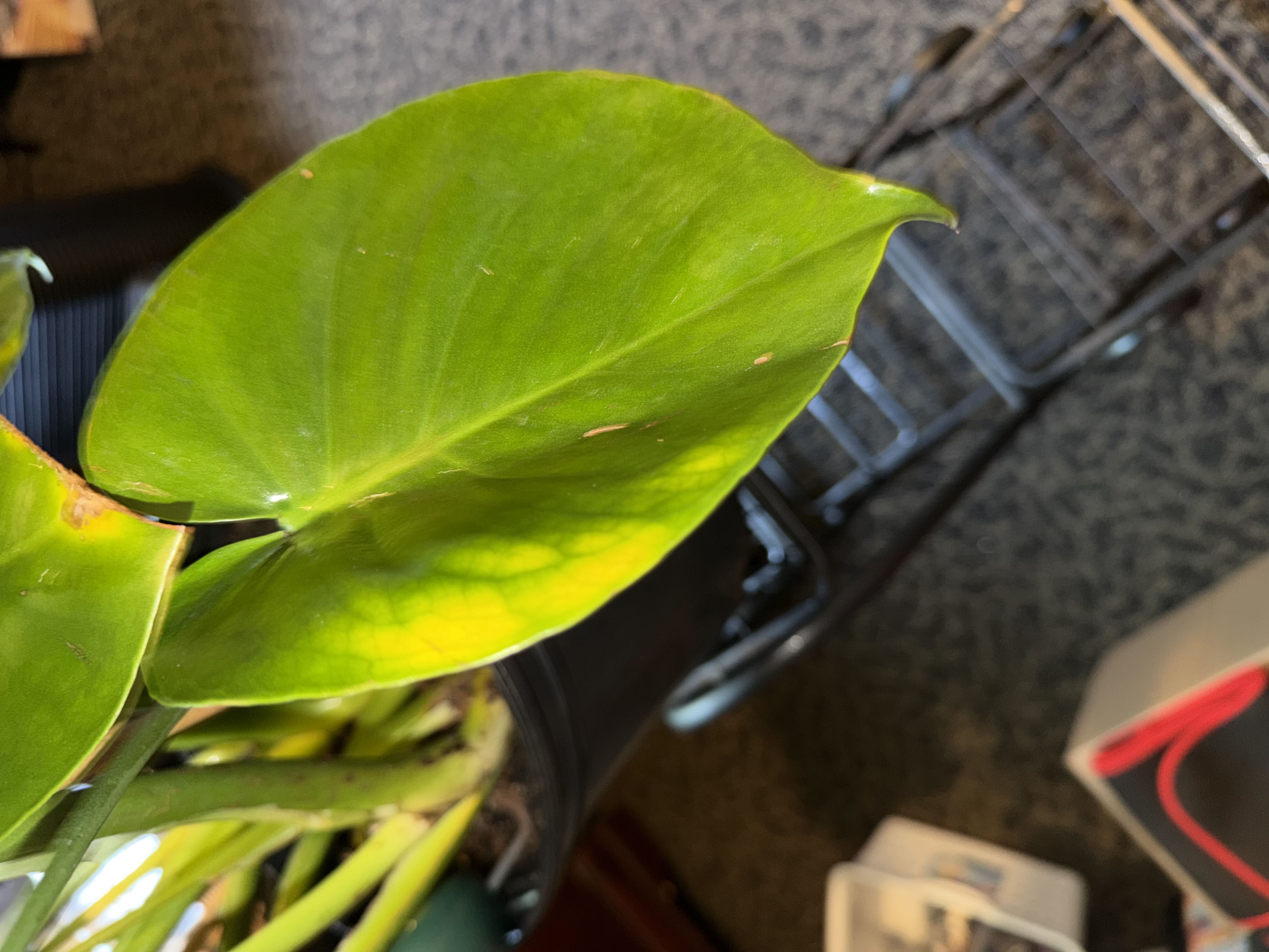 Photo from the post